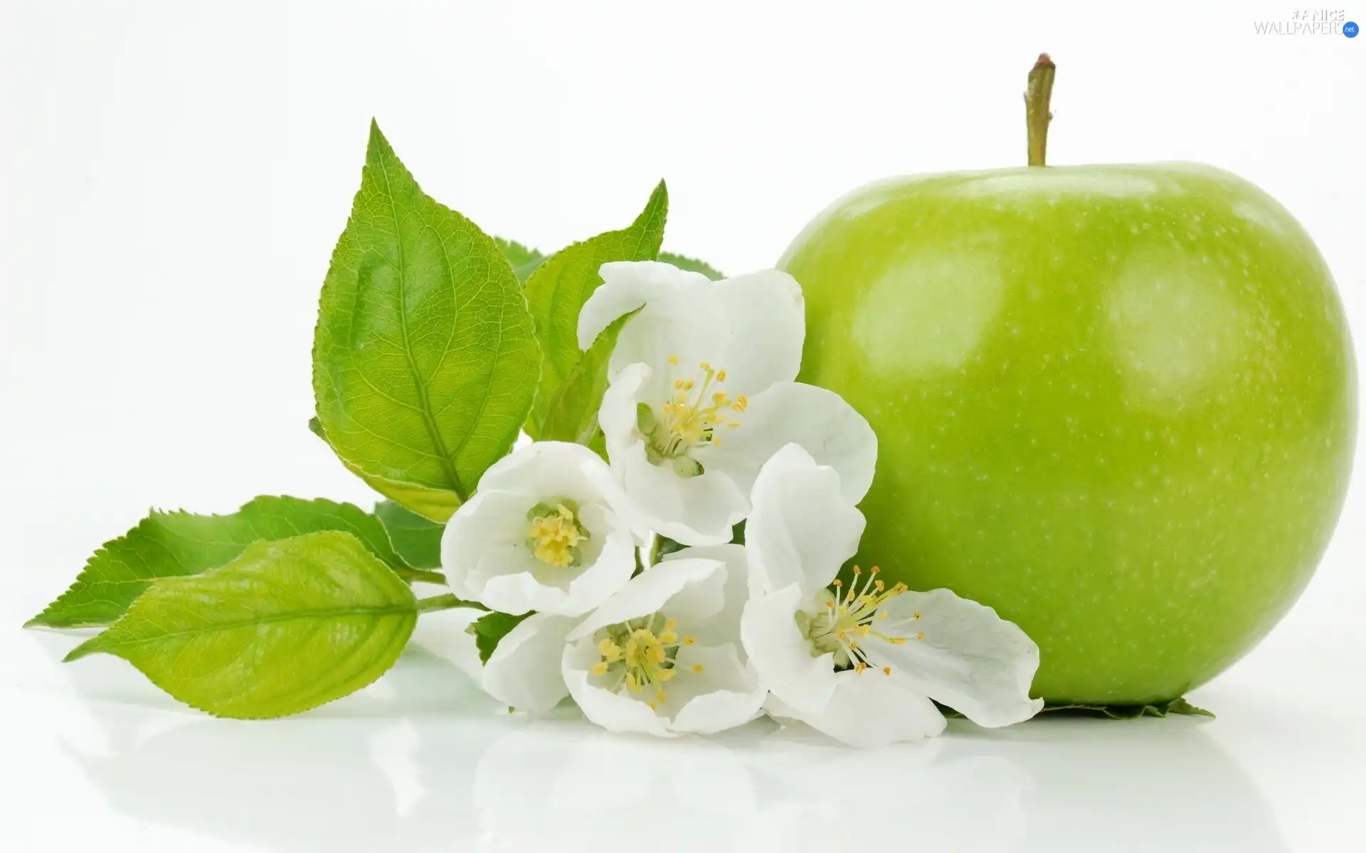 Flowers, green ones, Apple