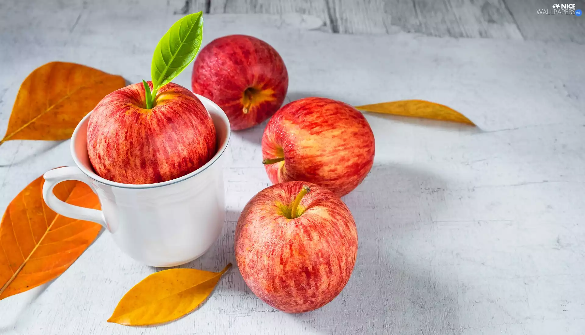 Cup, Leaf, boarding, apples