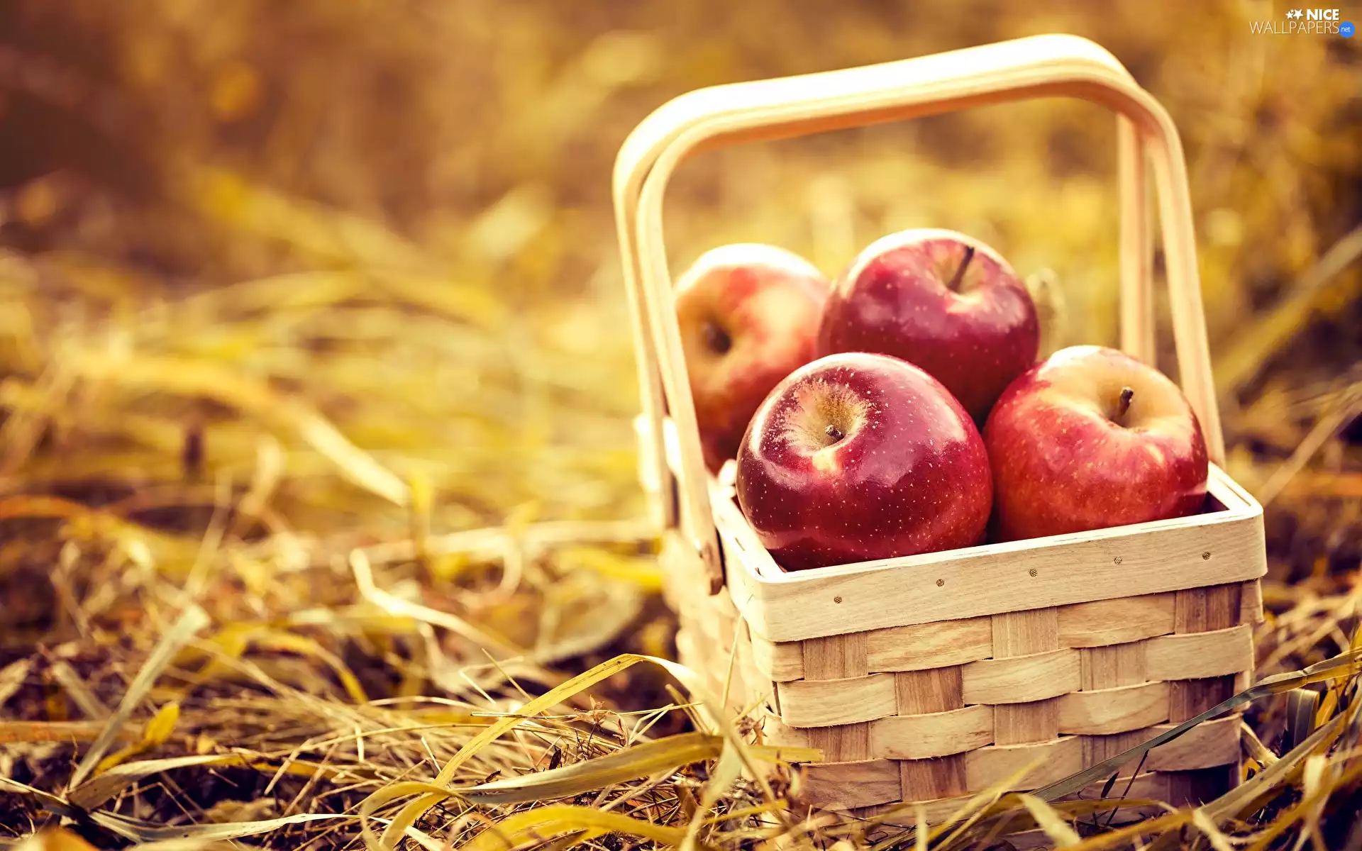 apples, basket, Red