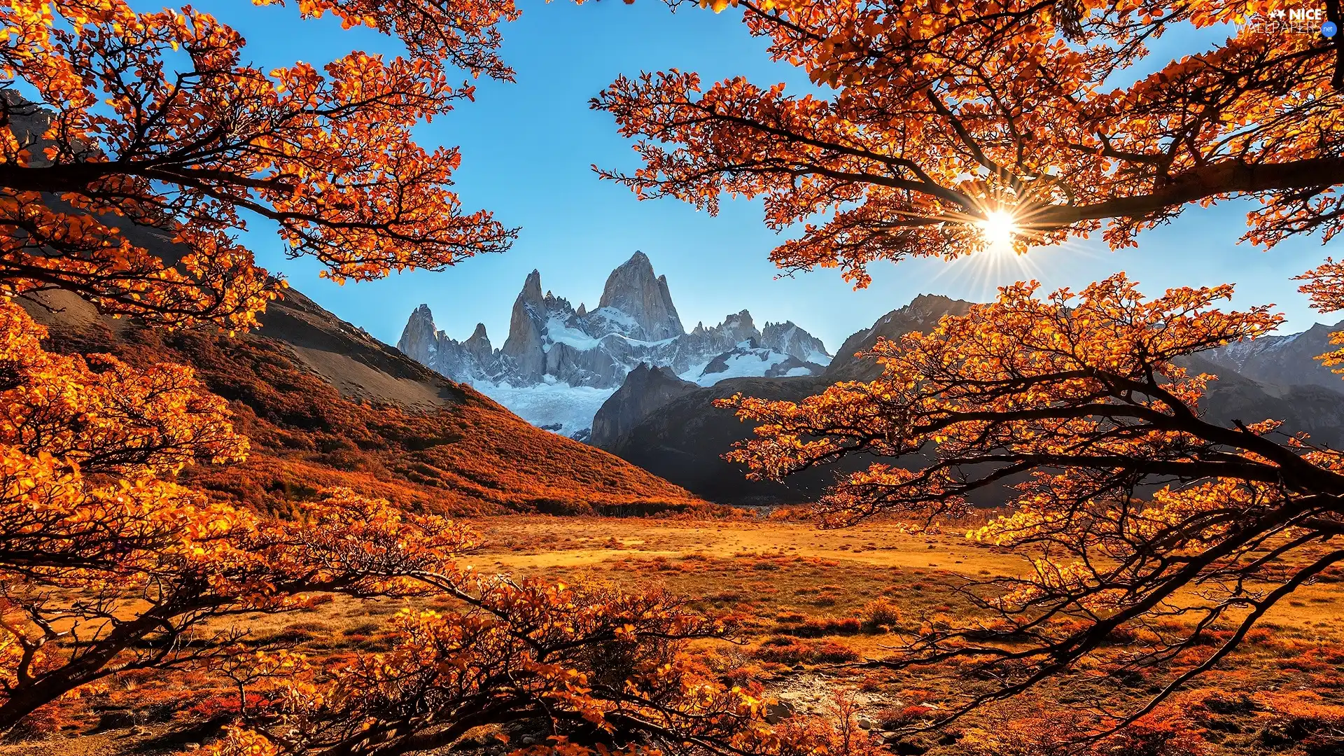 Fitz Roy Mountain, Andes Mountains, Patagonia, Argentina, viewes, branch pics, autumn, trees, rays of the Sun