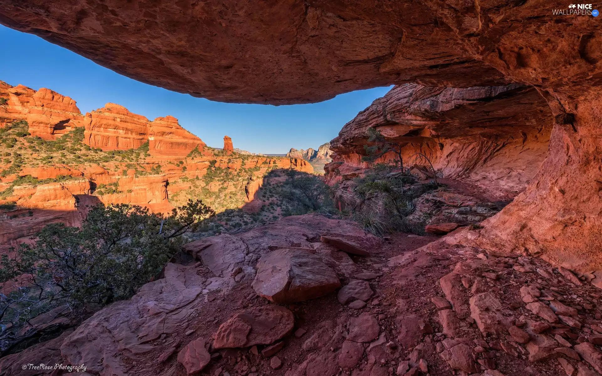 Sedona, The United States, Red, Bush, rocks, Arizona