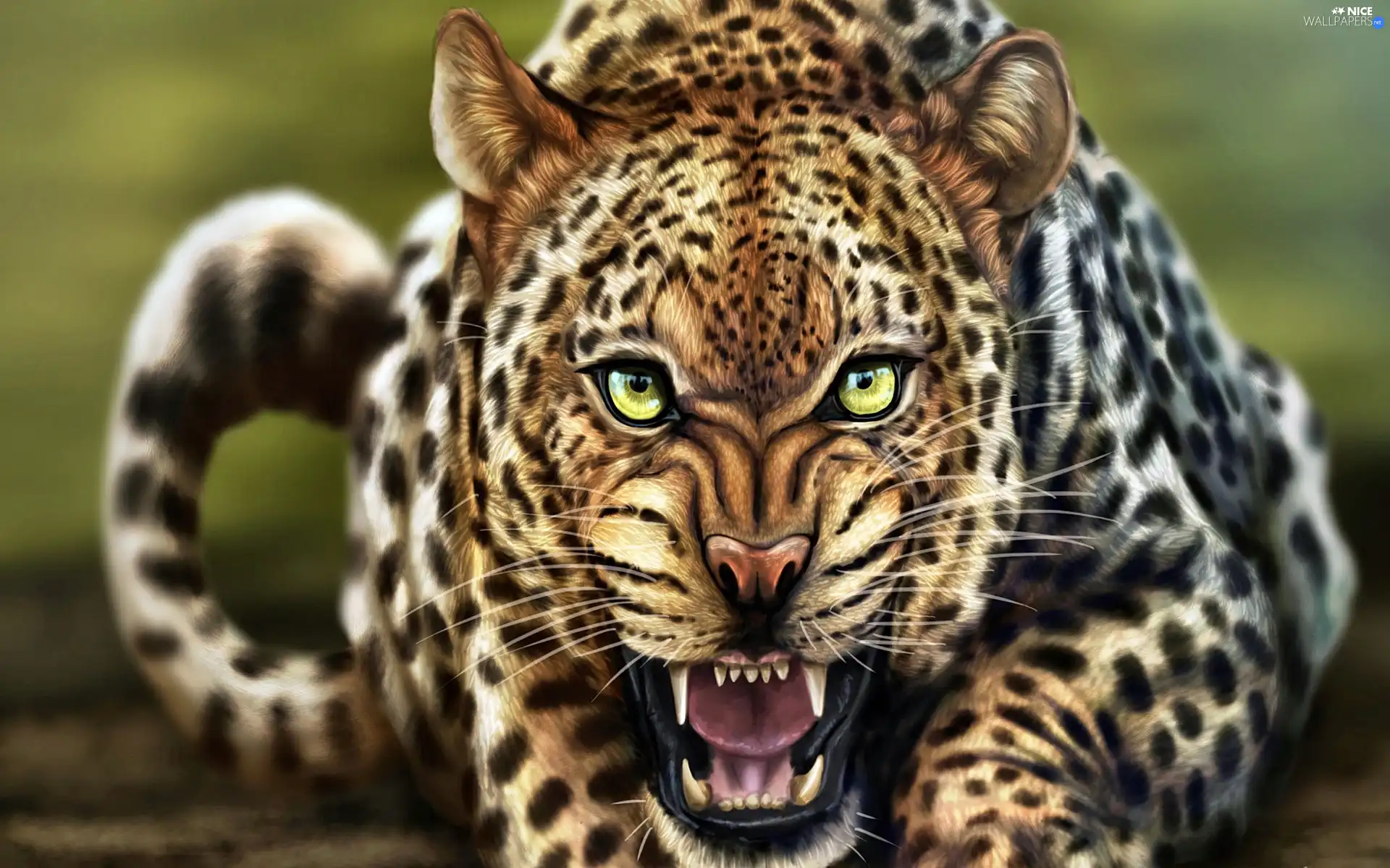 Art, furious, Leopards