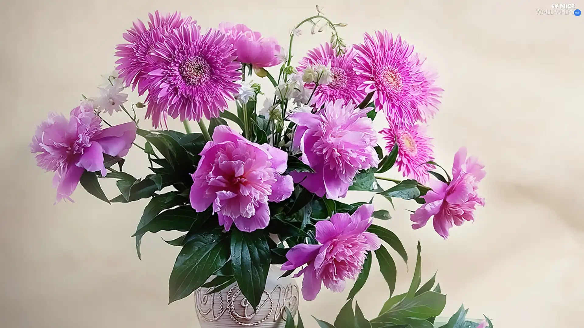 bowl, peony, Astrów, bouquet