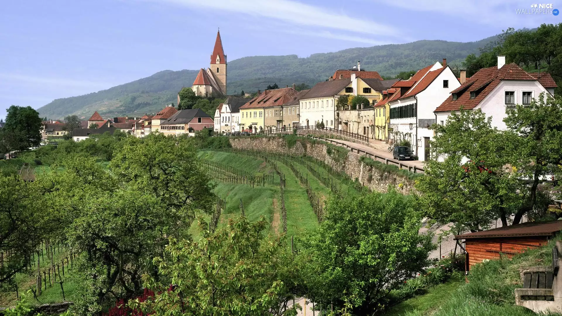 trees, Church, grass, Austria, viewes, Houses