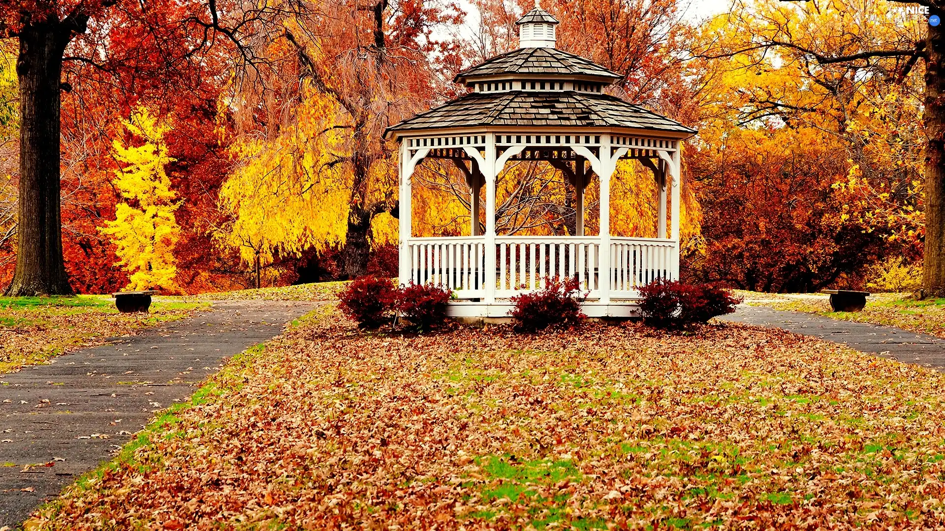 autumn, Park, arbour