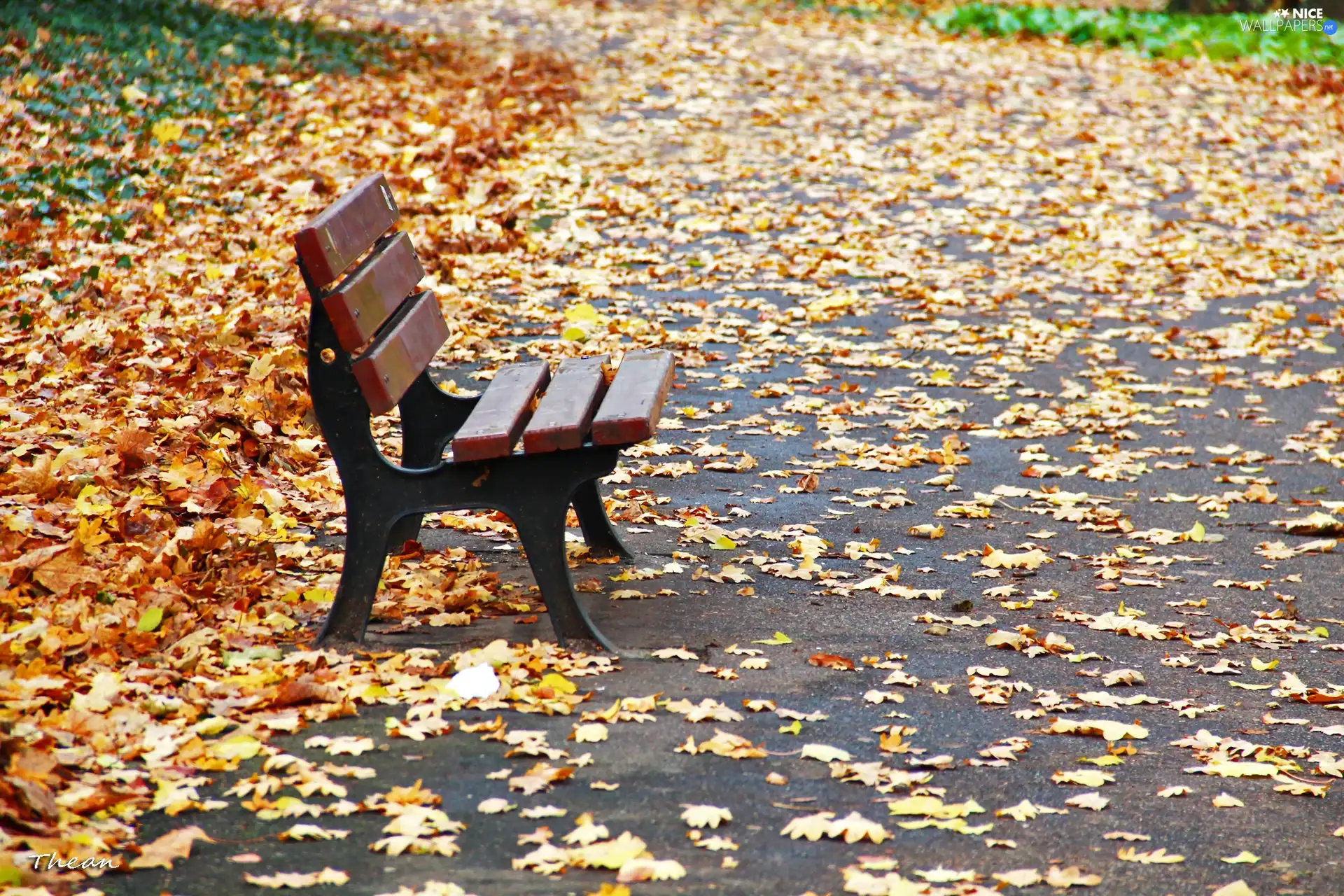 Bench, Leaf, autumn, Park