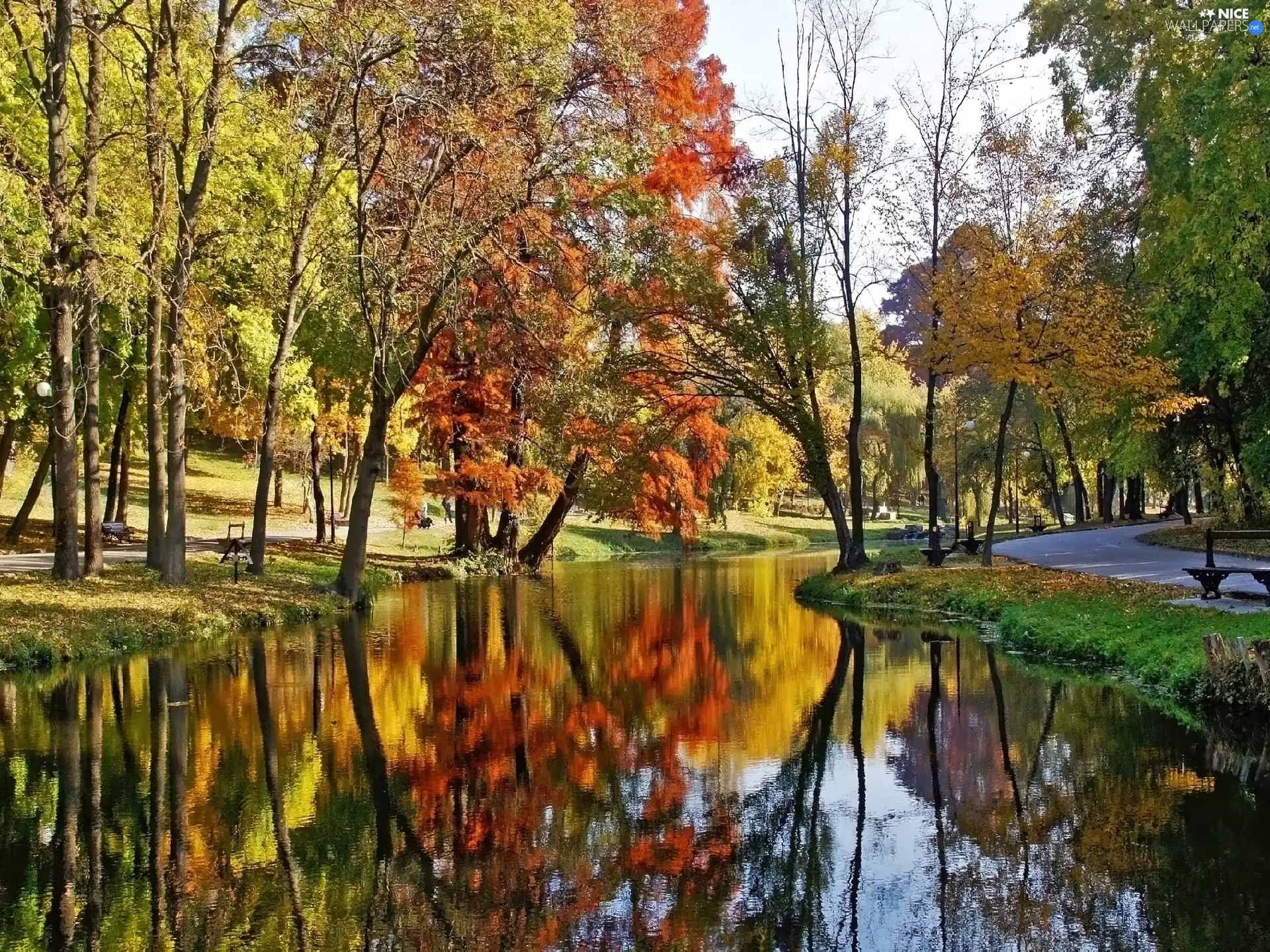 autumn, Park, brook