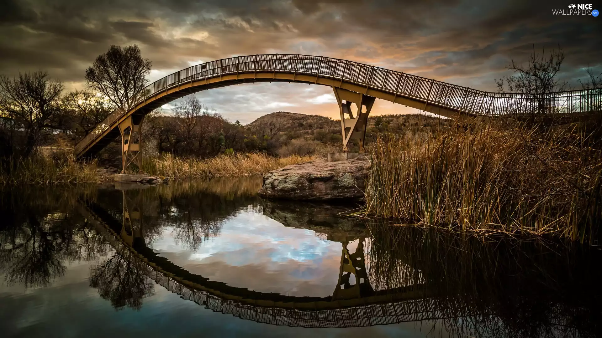 trees, Pond - car, Rocks, grass, bridge, viewes, autumn