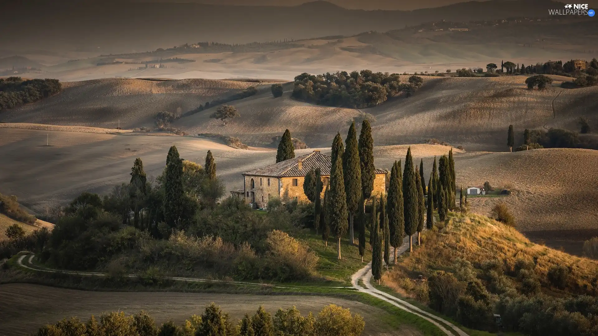 Way, Tuscany, cypresses, The Hills, Italy, house, autumn