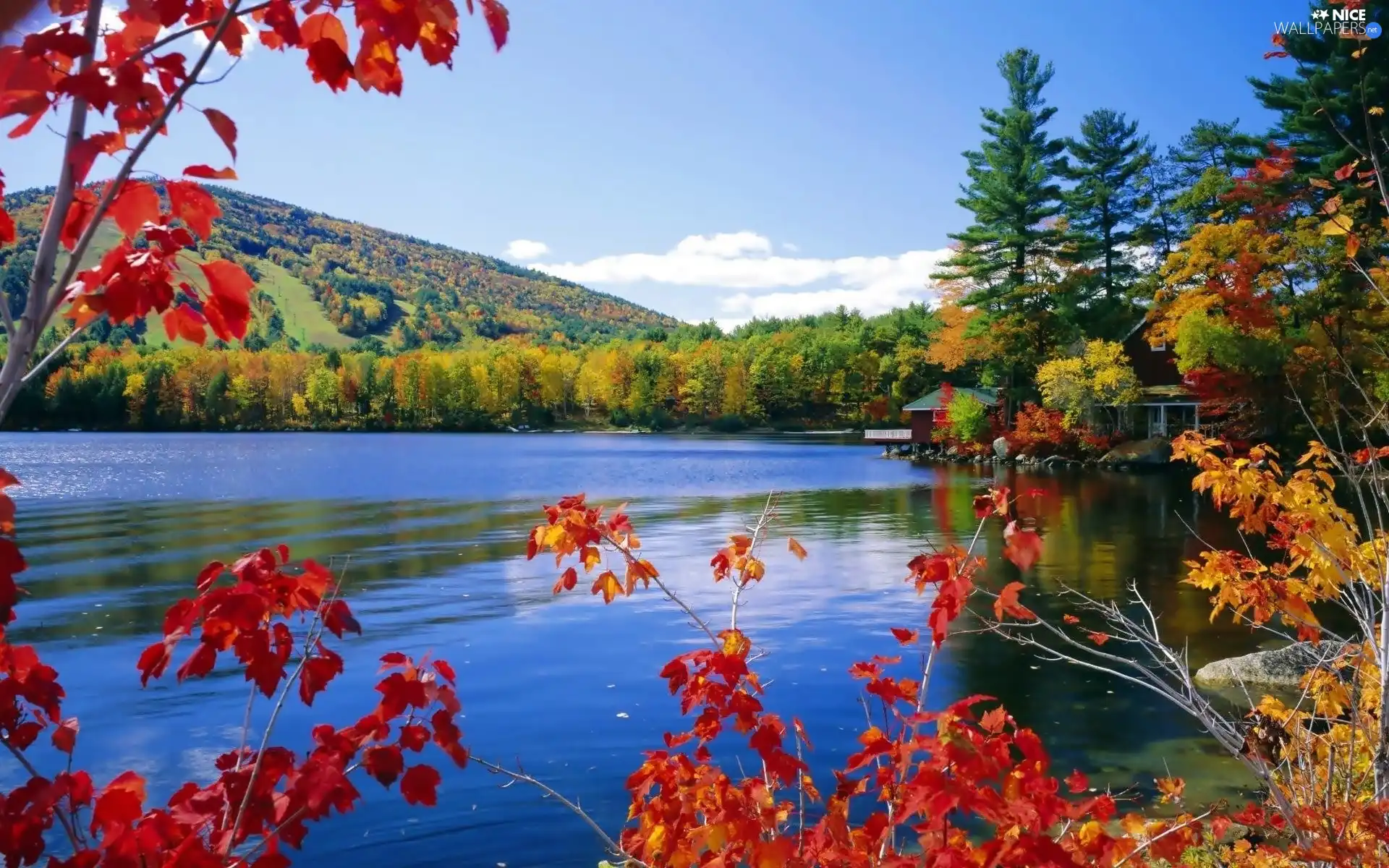 autumn, lake, forest