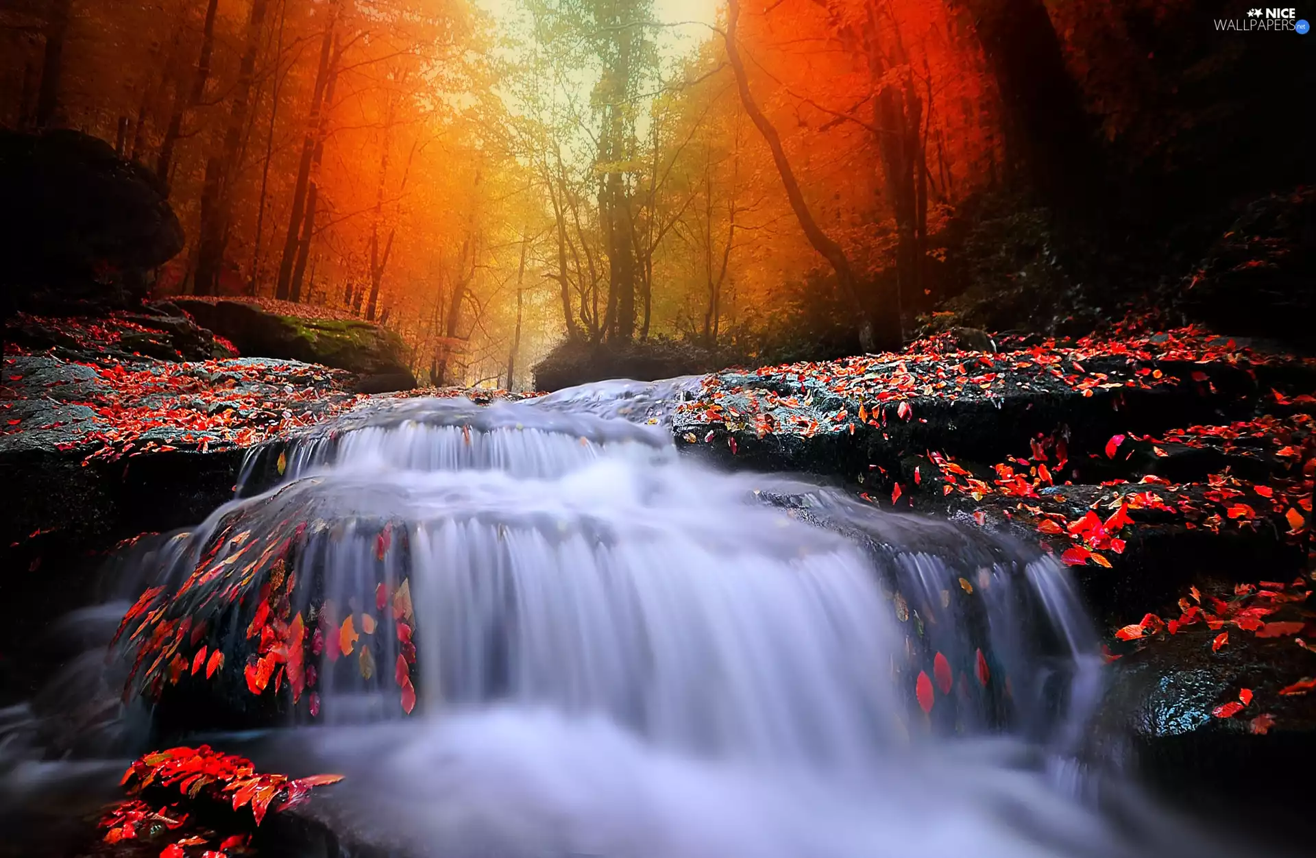autumn, waterfall, forest