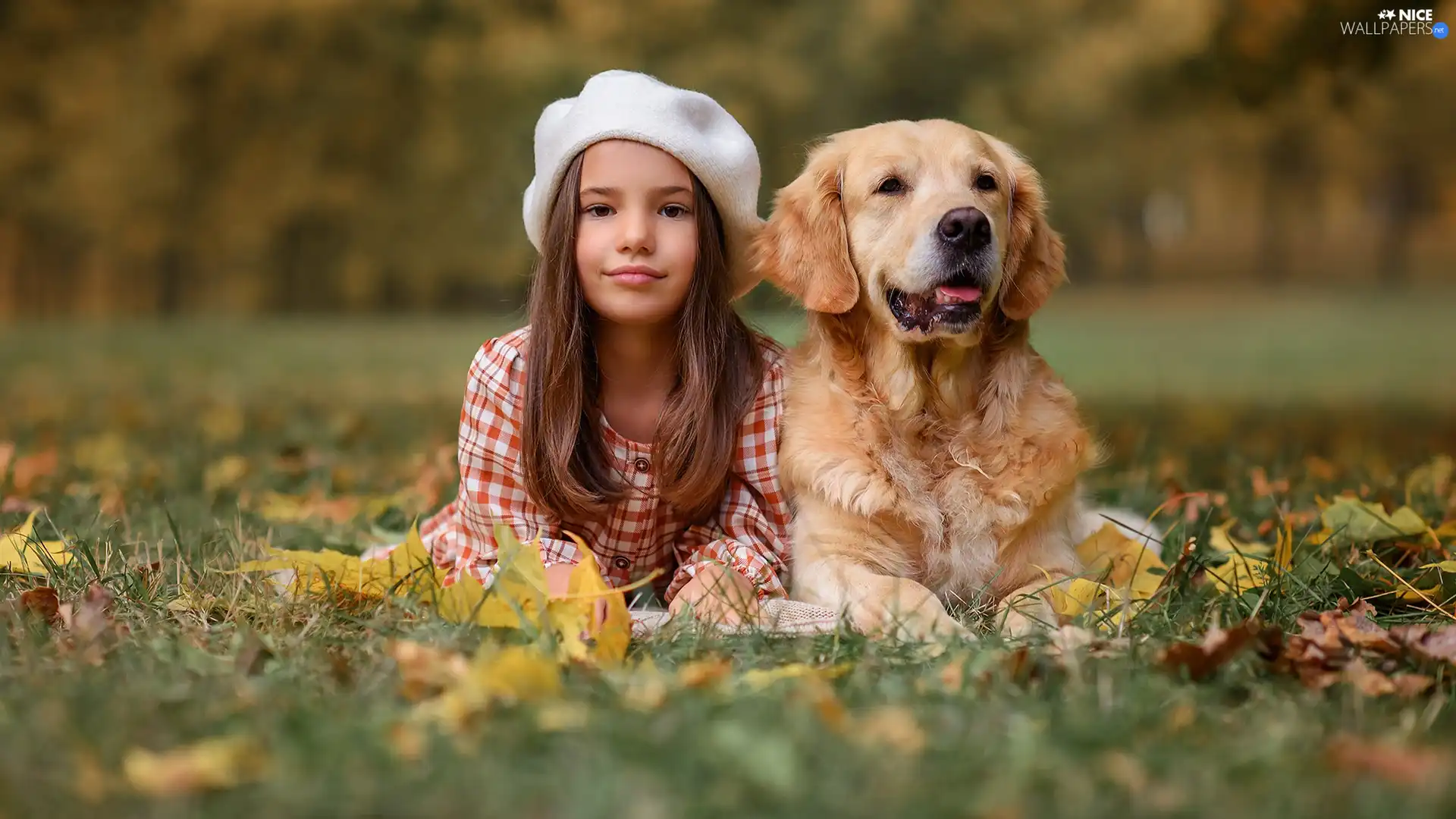 Golden Retriever, girl, autumn, Leaf, Meadow, dog