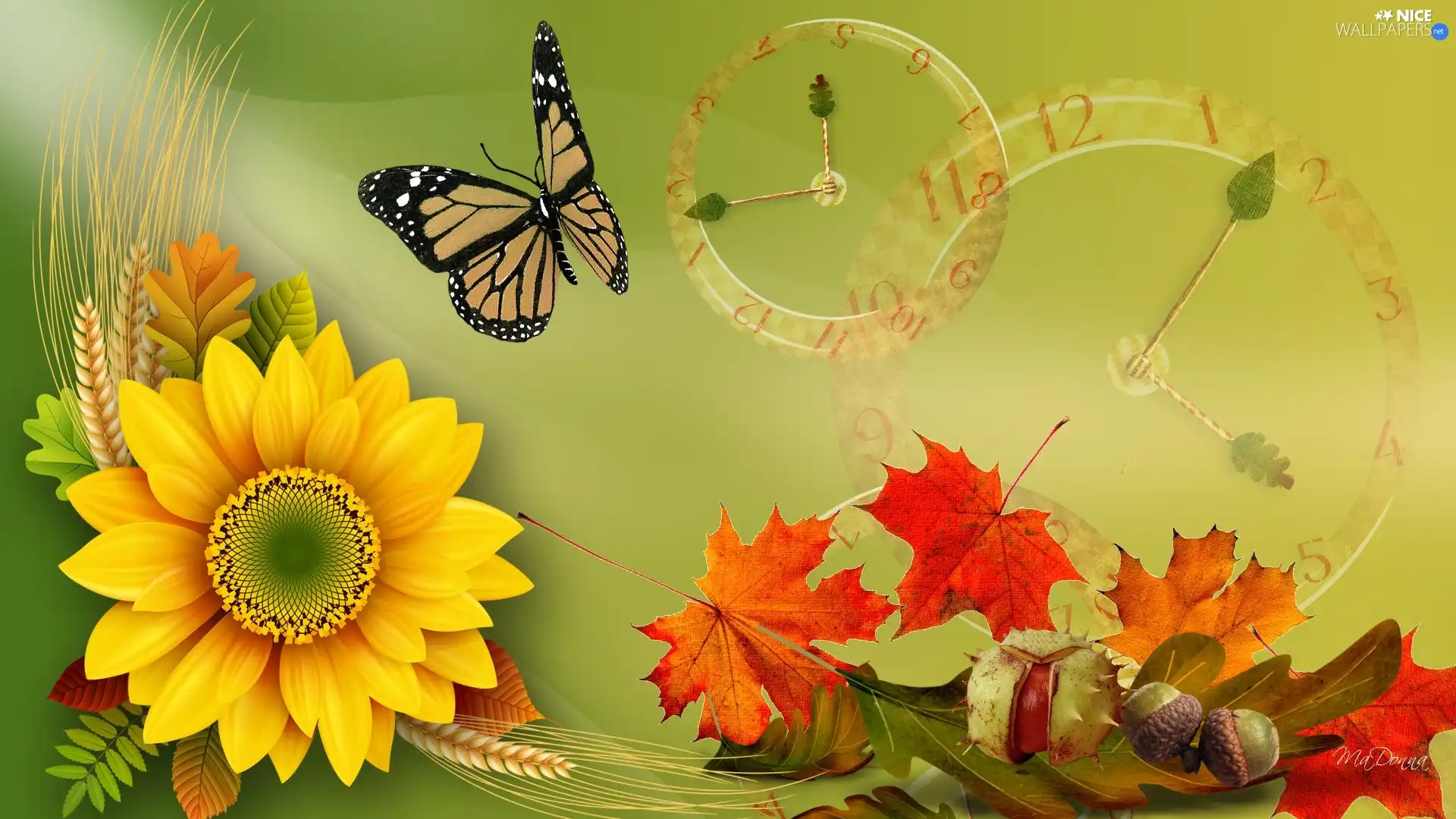 autumn, graphics, Leaf, butterfly, Sunflower