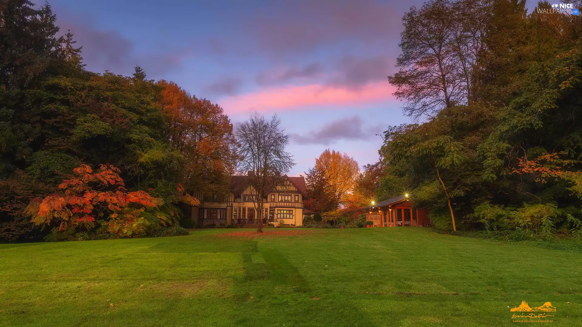 house, trees, viewes, Autumn