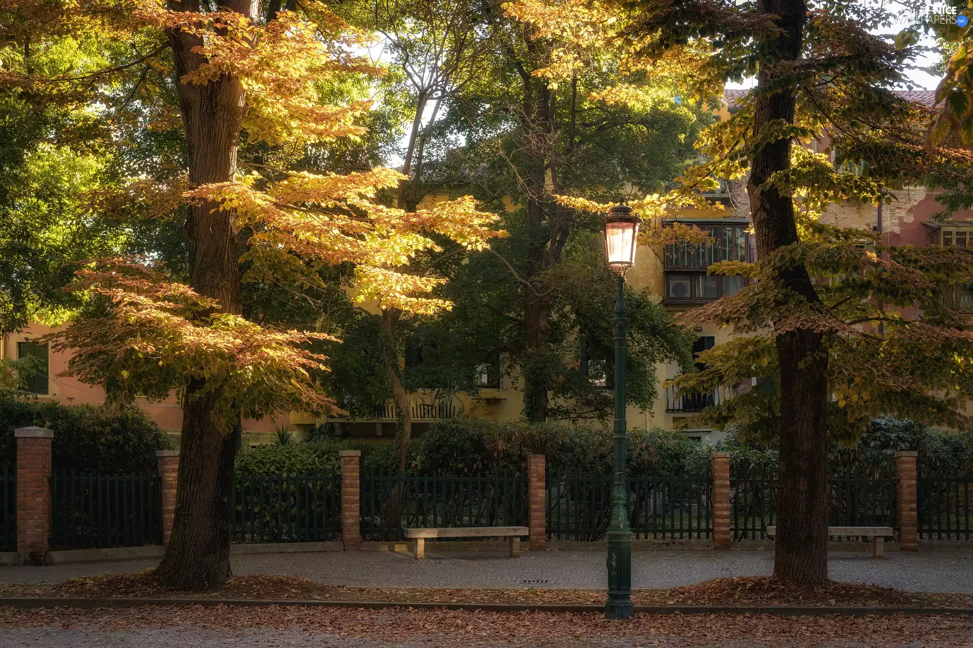 trees, Street, Lighthouse, autumn, viewes, Houses