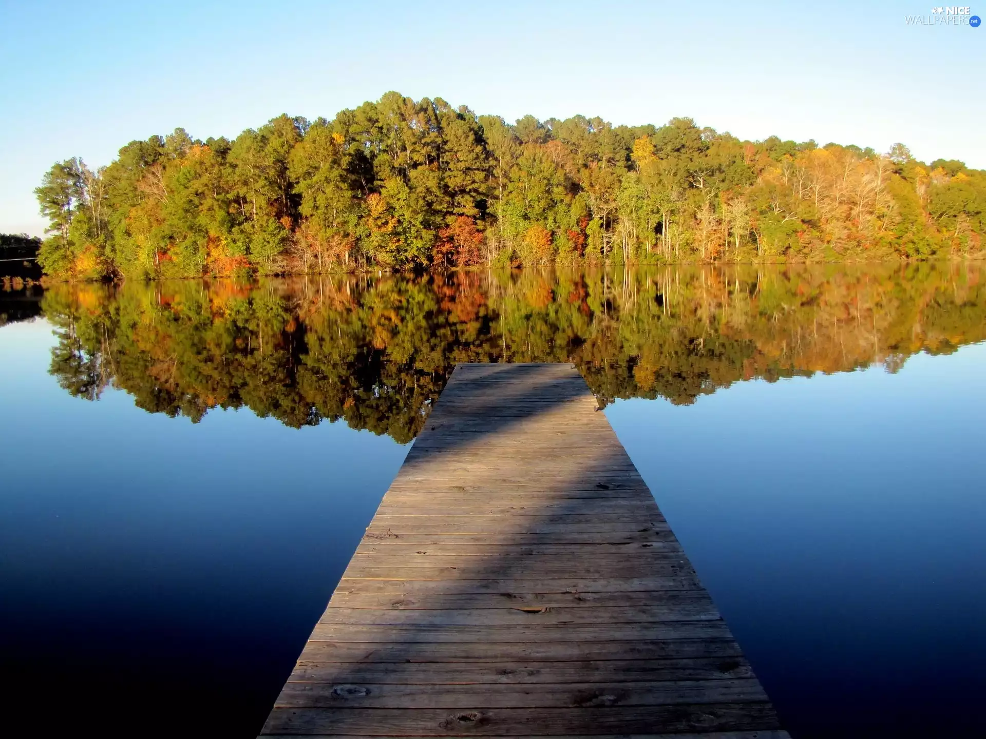 forest, lake, Platform, autumn, reflection, Island
