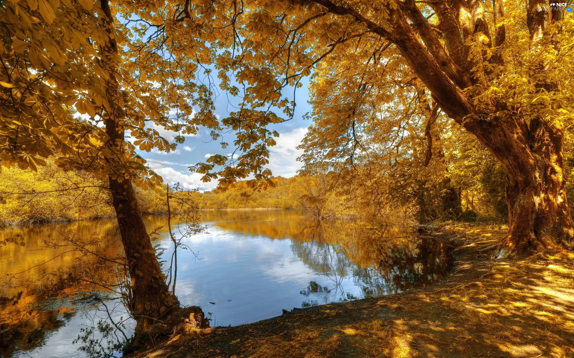 autumn, Park, lake