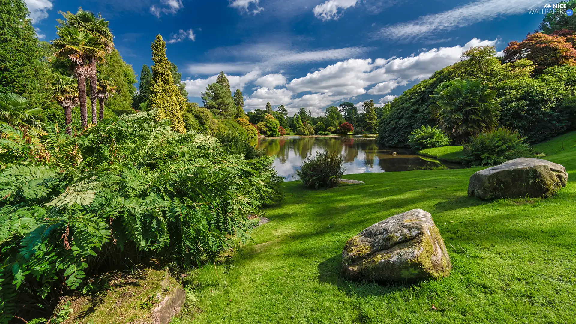 lake, Stones, autumn, Park