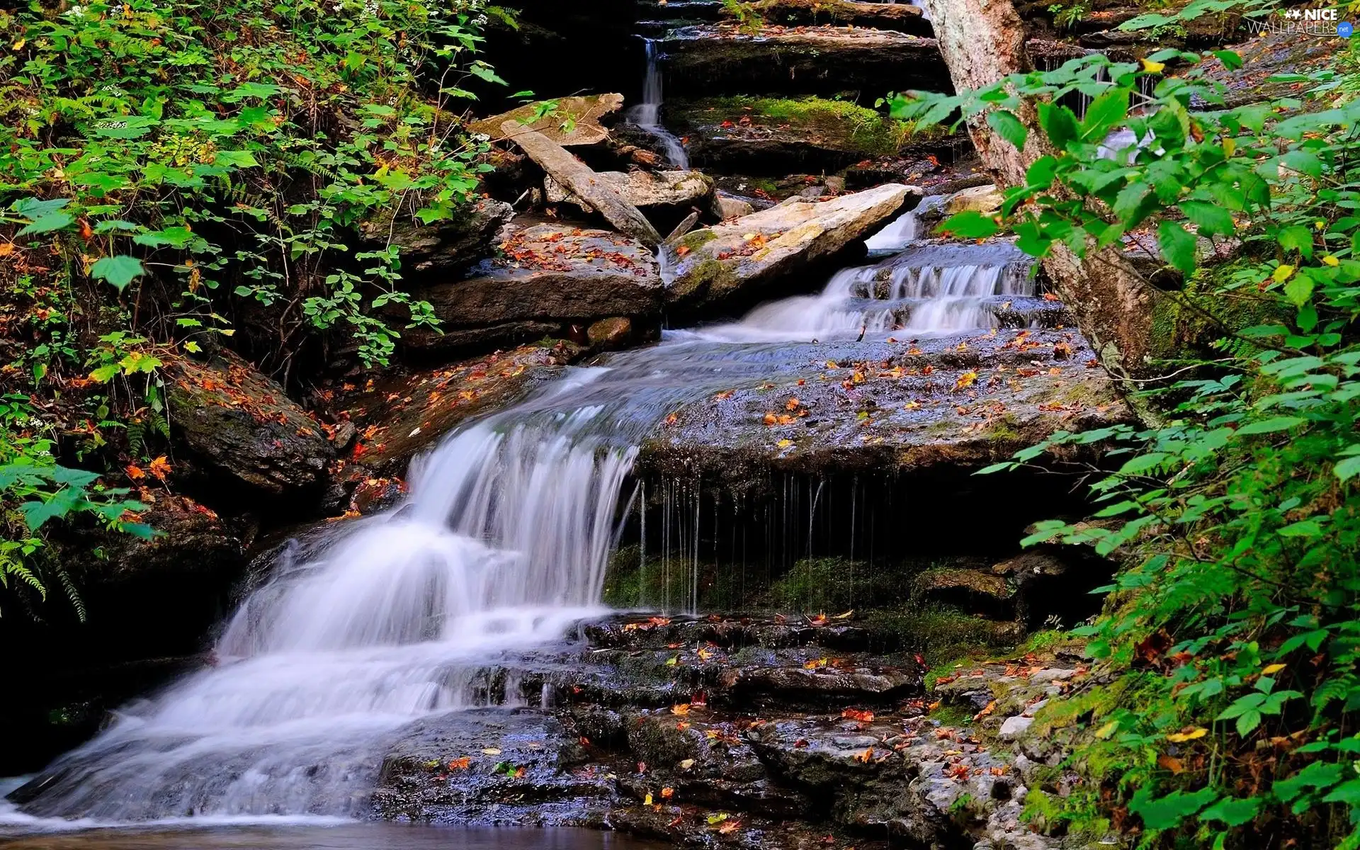 mountainous, rocks, autumn, waterfall