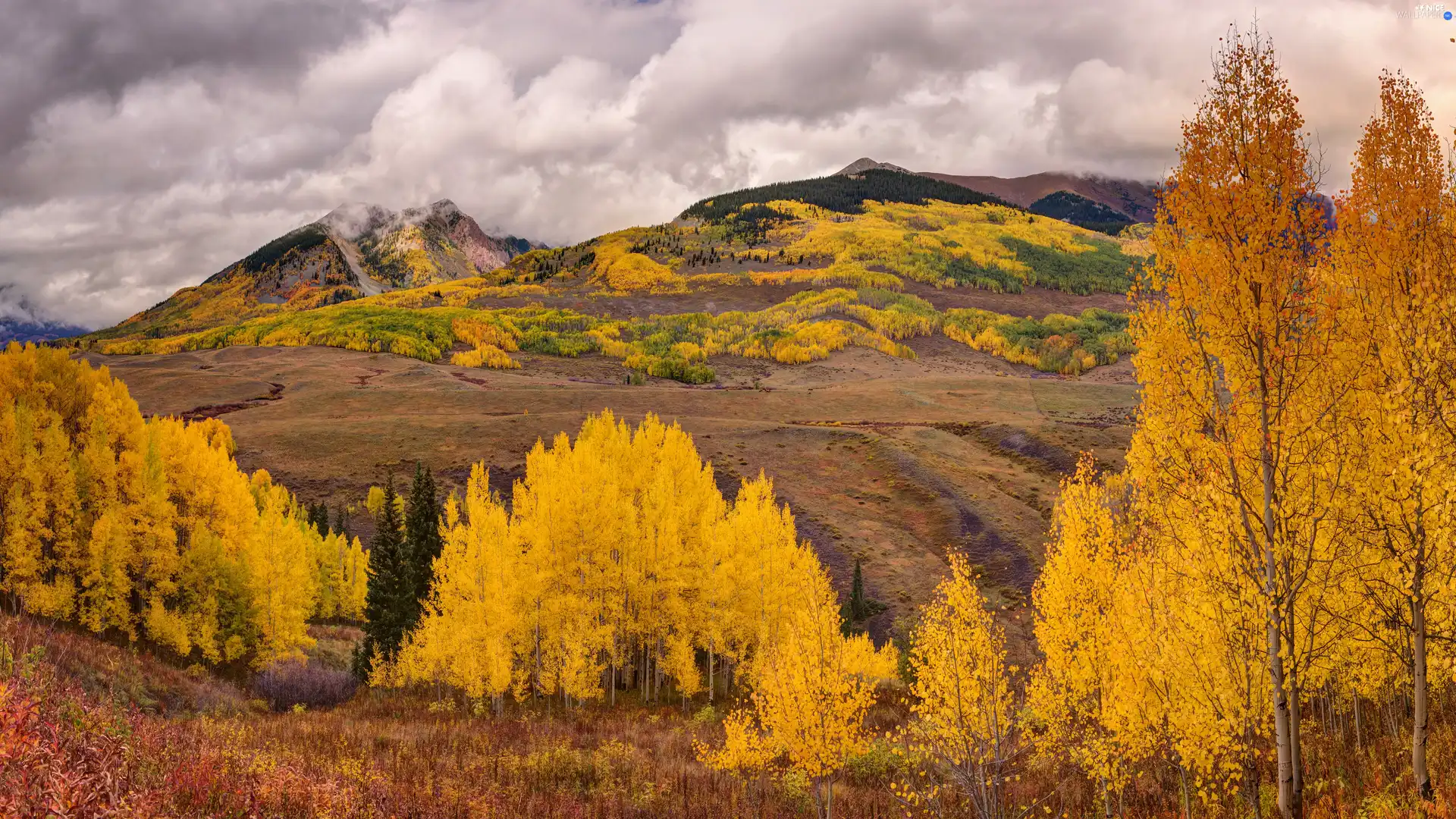 The Hills, Mountains, viewes, clouds, forest, trees, autumn