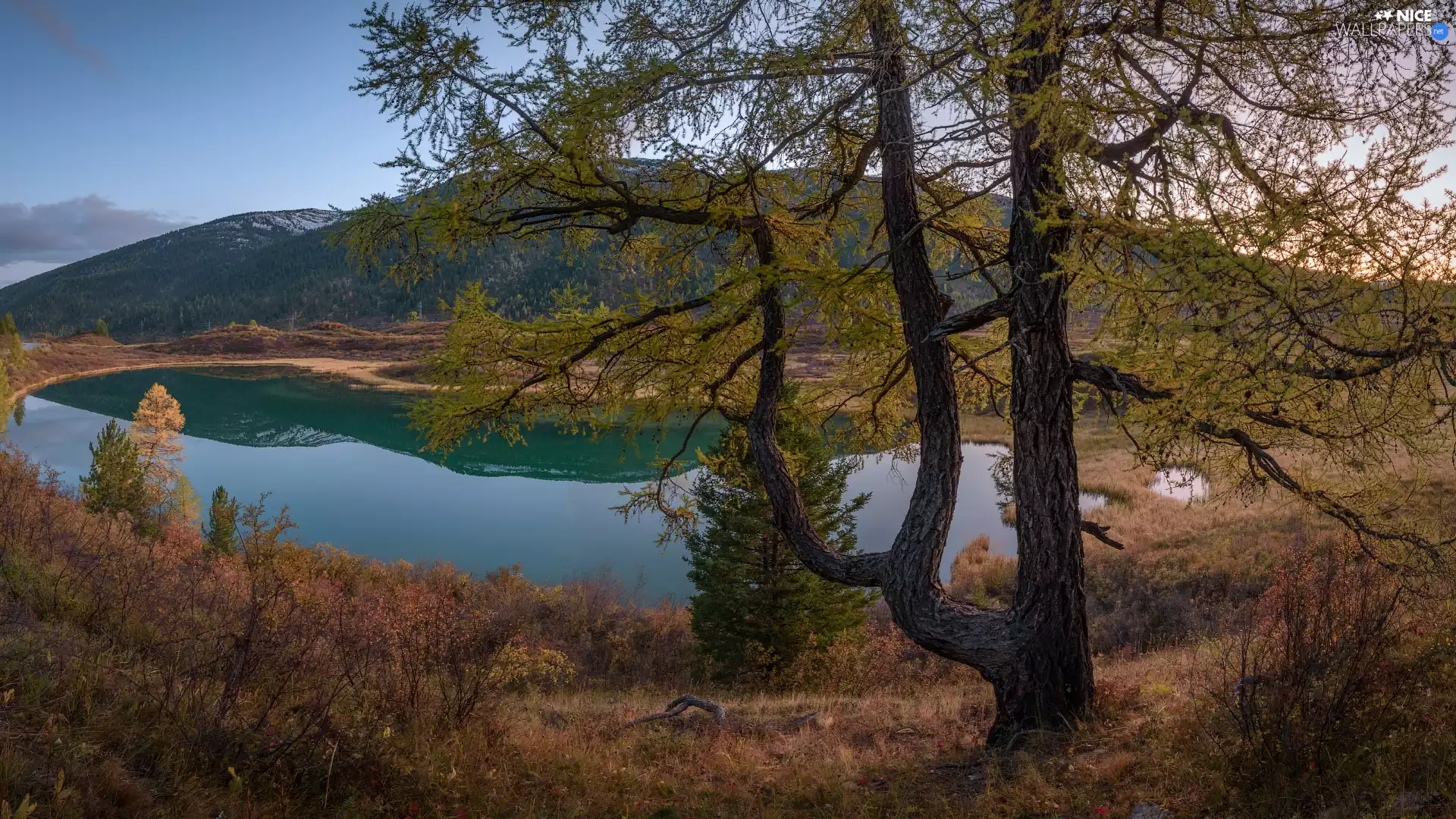 viewes, autumn, mountains, trees, lake