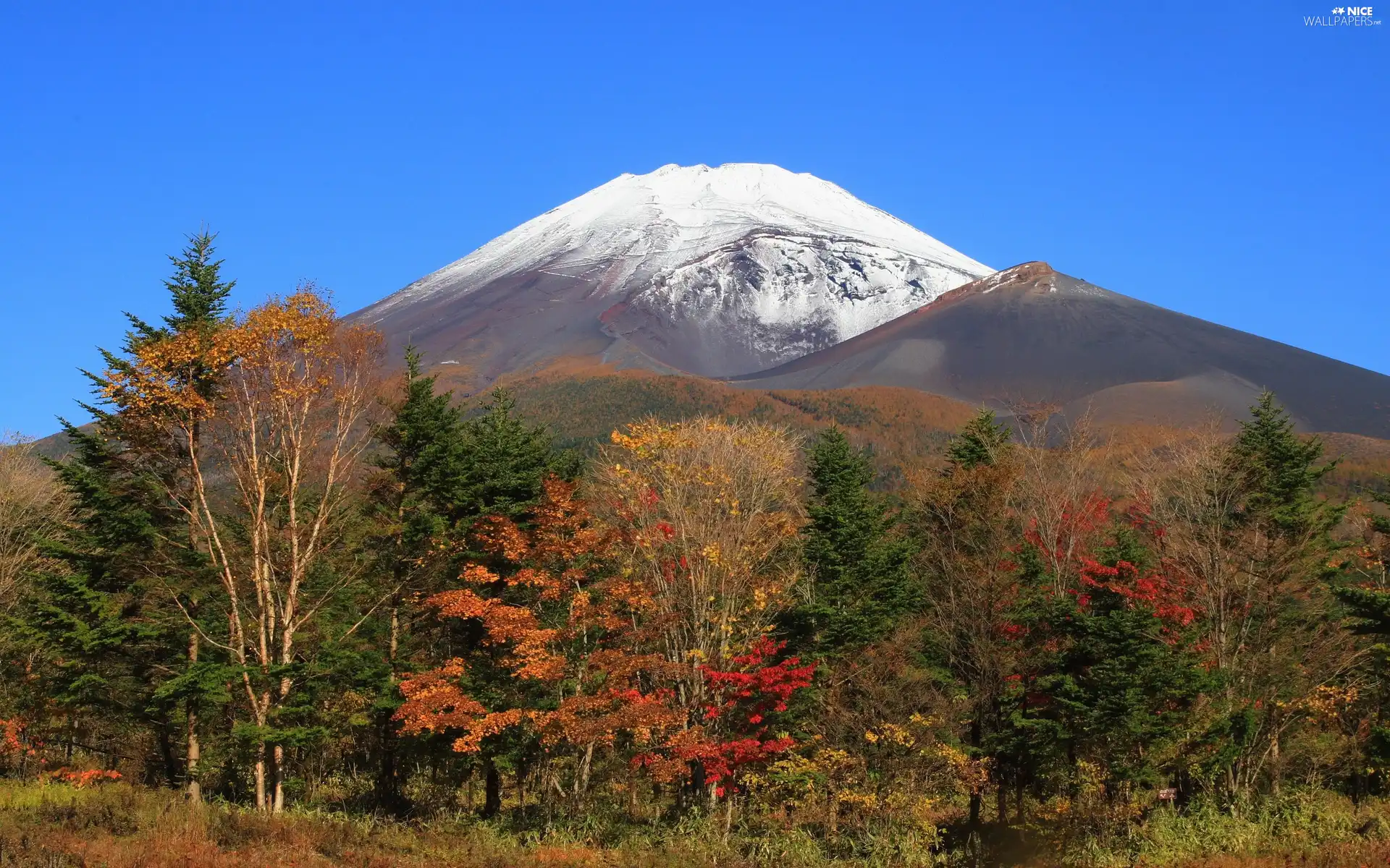 mountains, viewes, autumn, trees