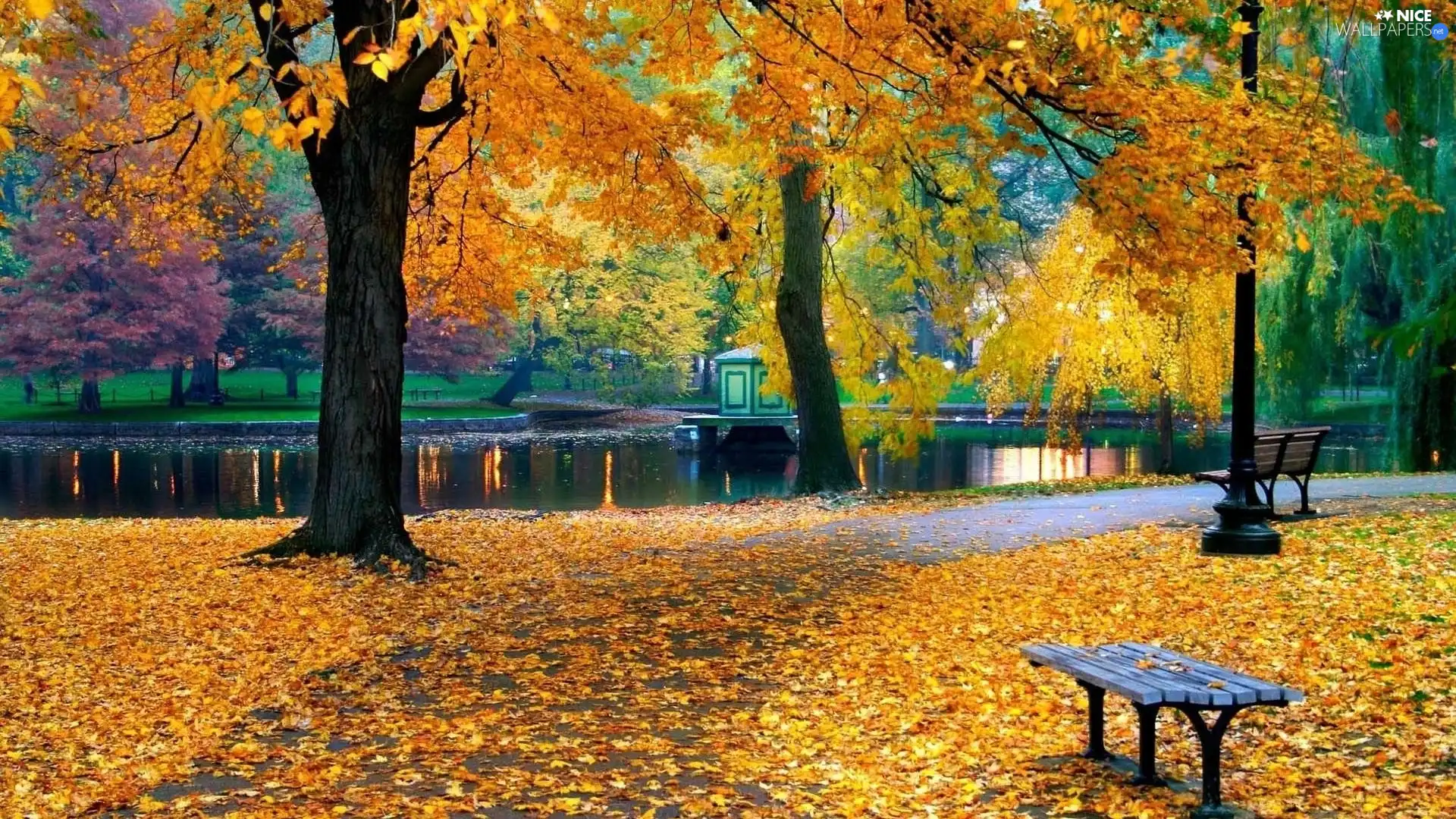 Park, Bench, autumn, River