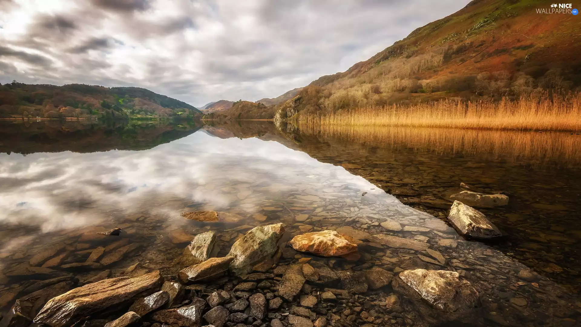Llyn Gwynant Lake, autumn, viewes, Stones, trees, Snowdonia National Park, wales, The Hills