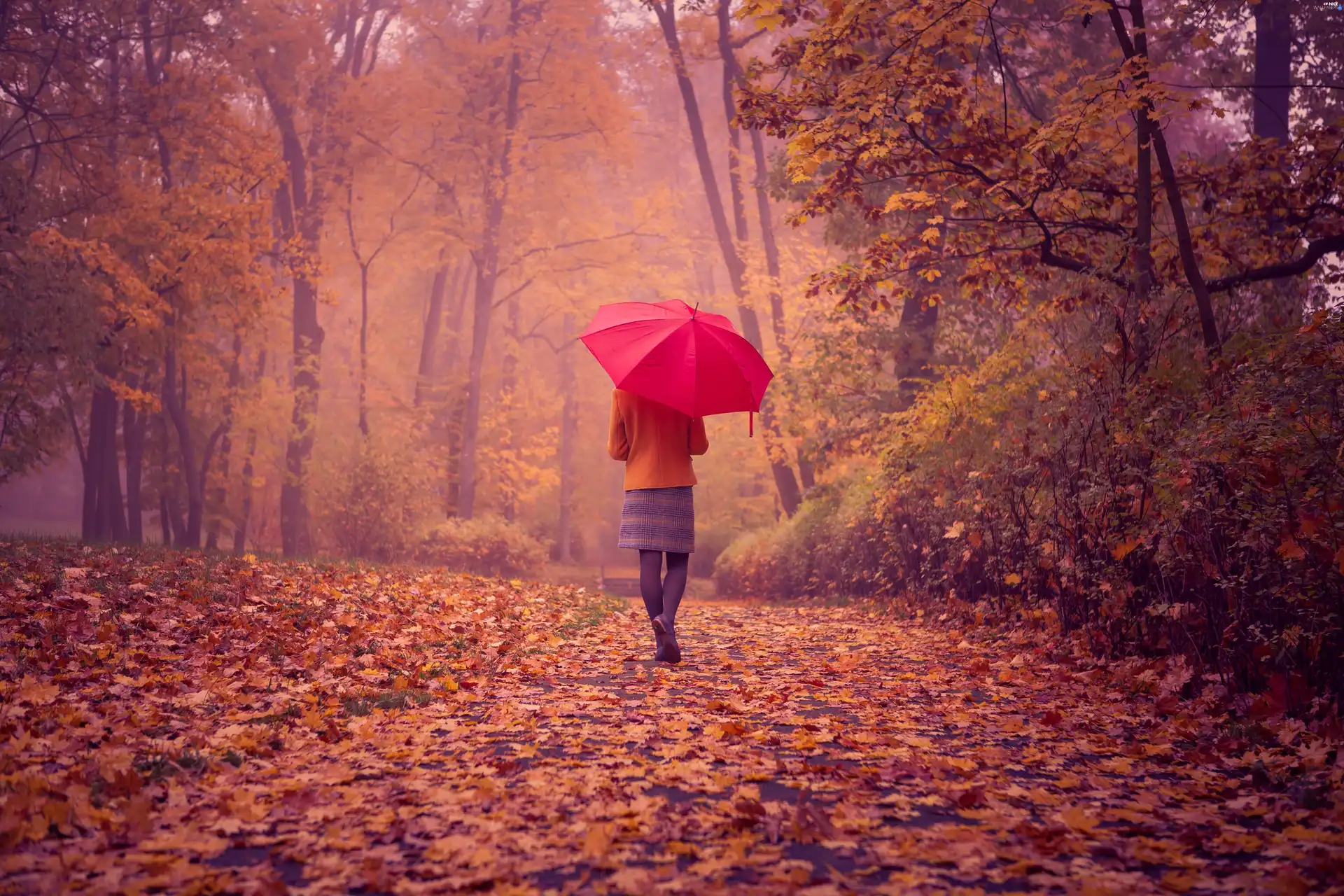 Park, Leaf, autumn, Women