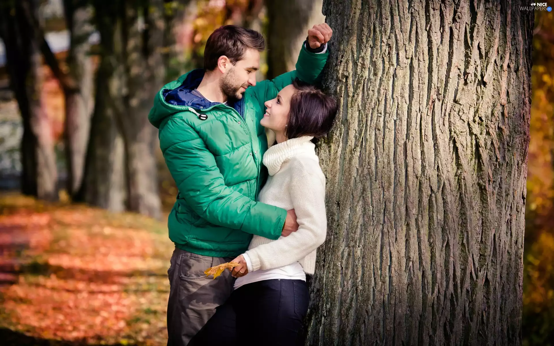 Park, Love, Steam, autumn