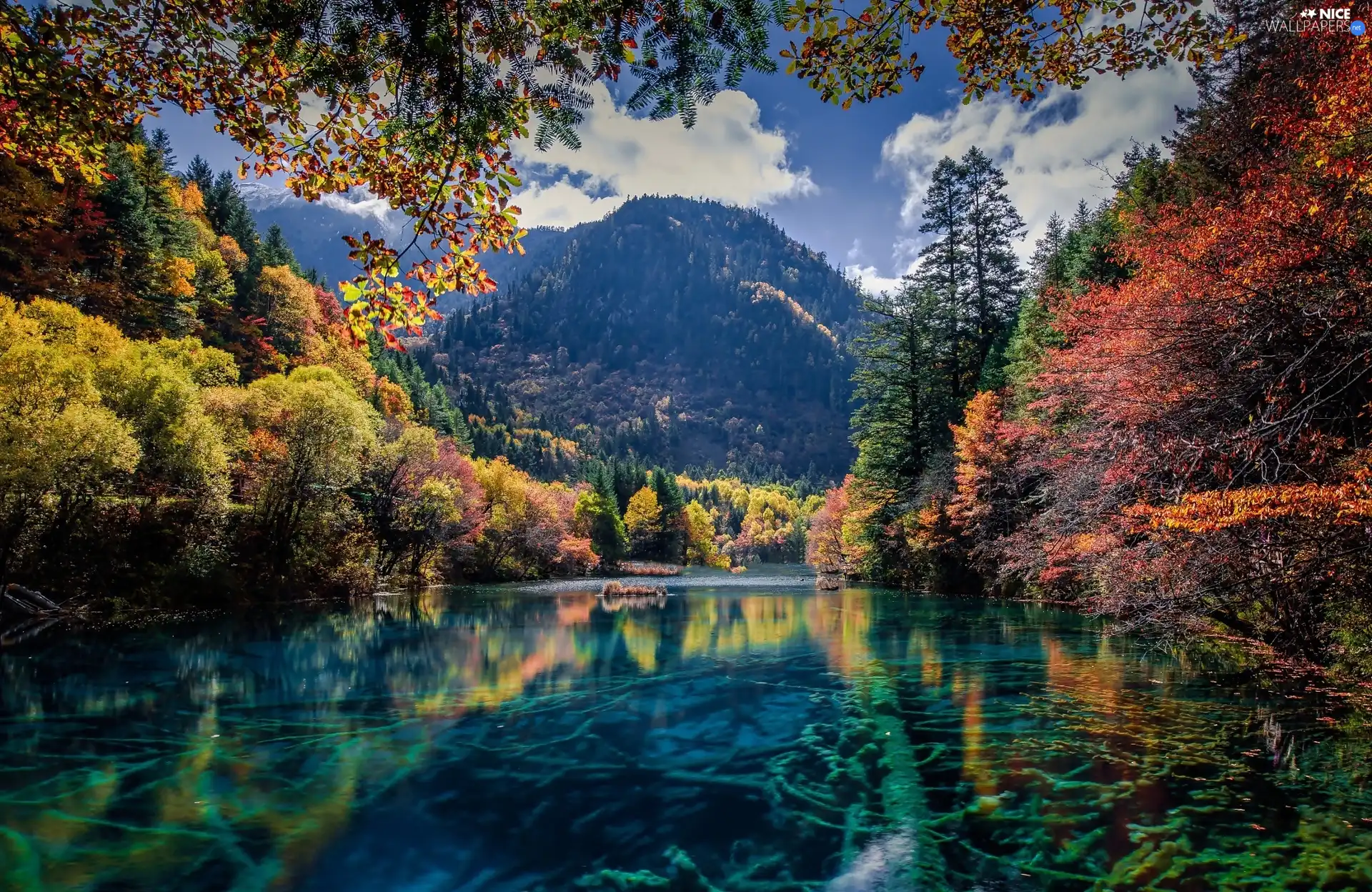 Jiuzhaigou National Park, Sichuan Province, woods, Ngawa, China, Mountains, lake