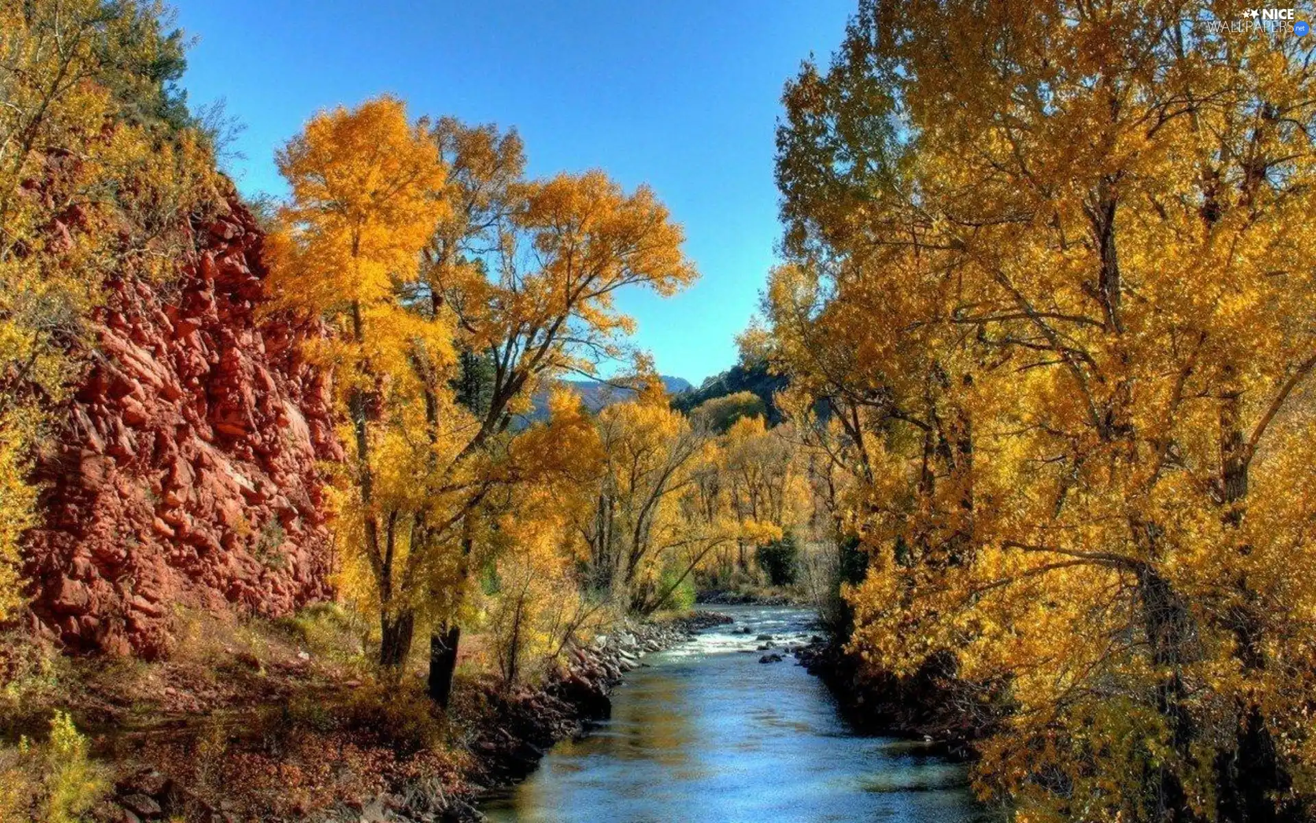 River, viewes, autumn, trees