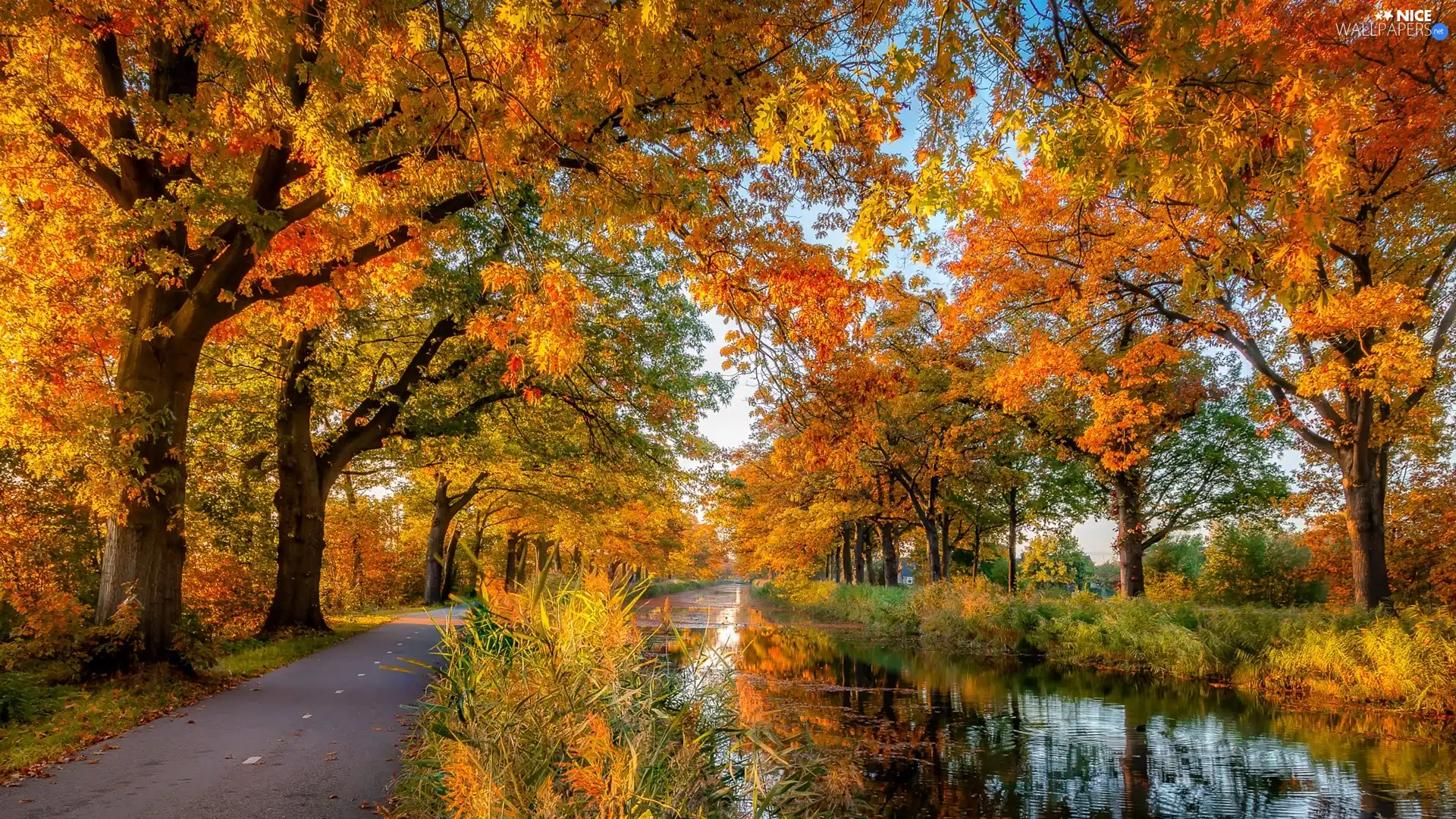 viewes, autumn, River, trees, Way