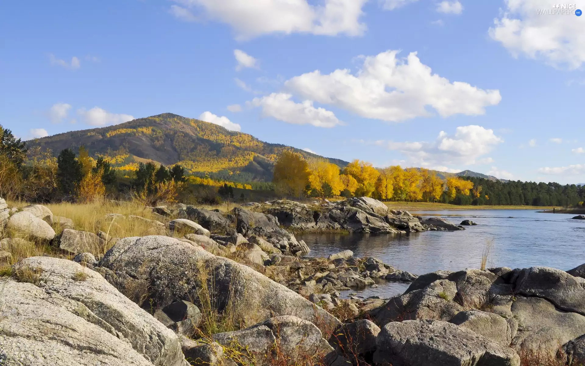 Mountains, autumn, rocks, woods, River