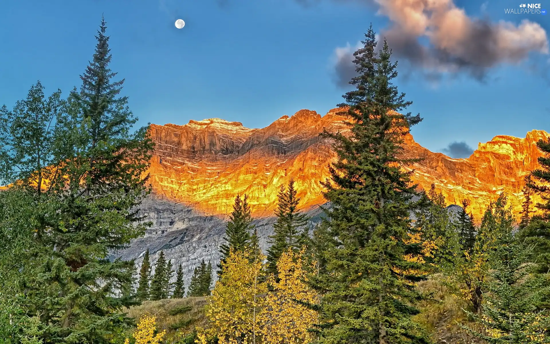 rocks, viewes, autumn, trees