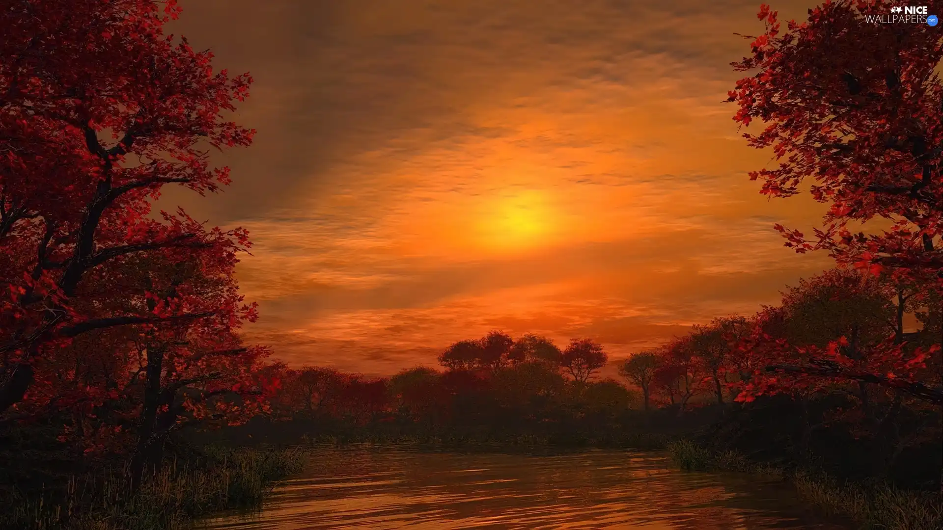 Great Sunsets, viewes, autumn, trees