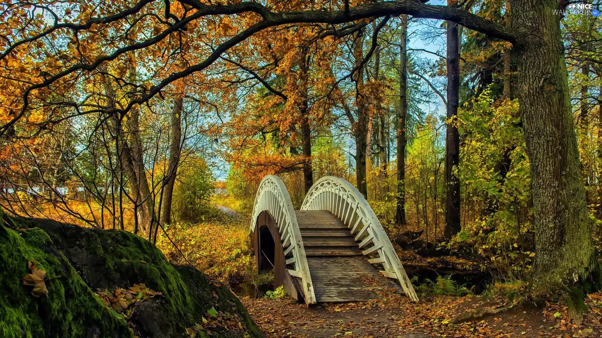viewes, Park, brook, autumn, bridges, trees