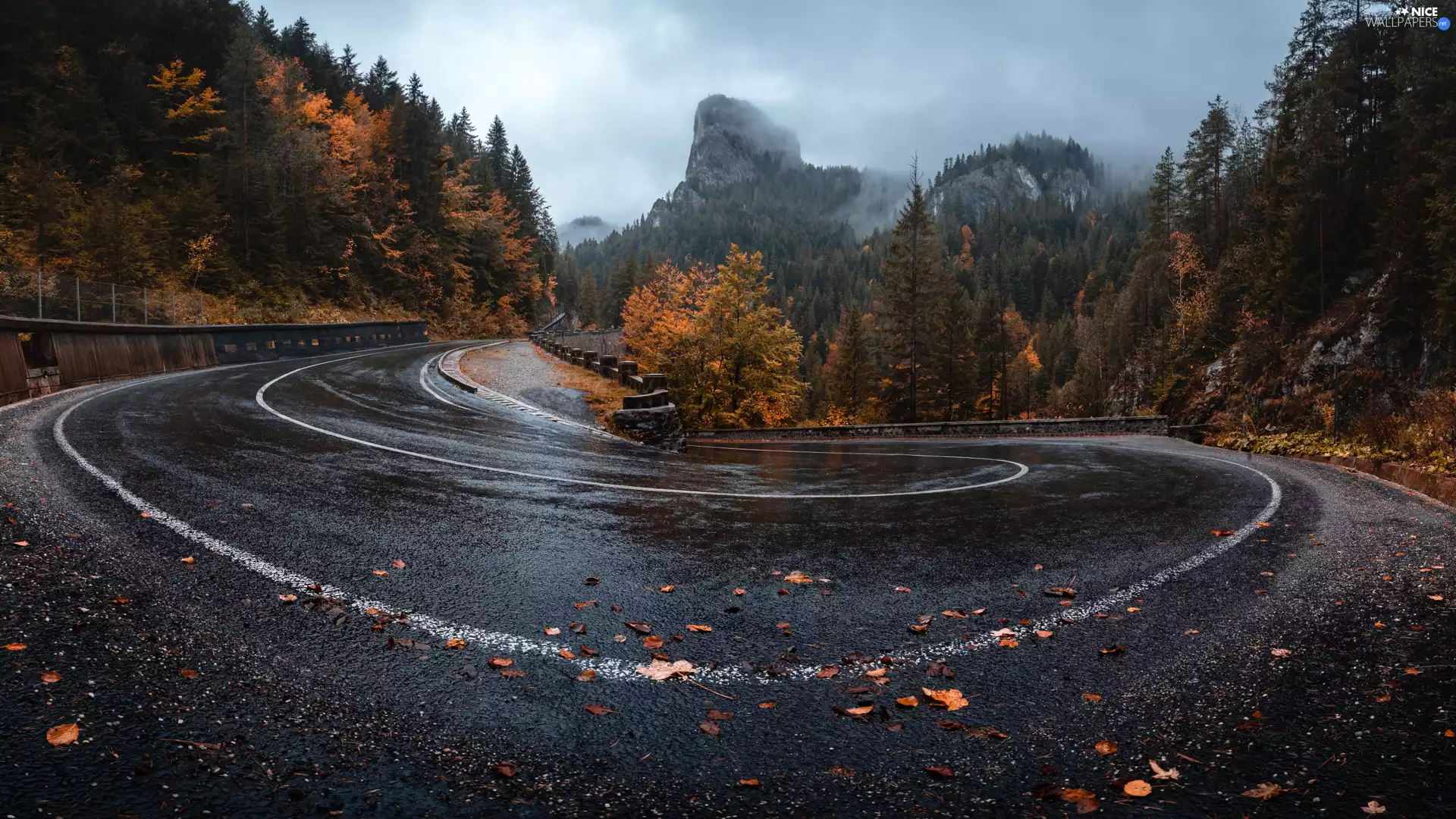 trees, Way, Mountains, autumn, viewes, turn
