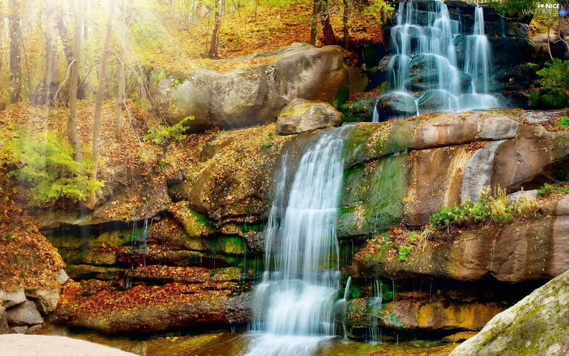 autumn, forest, waterfall