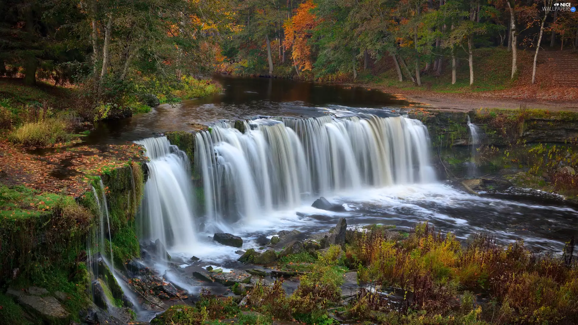forest, autumn, waterfall, Rocks, River