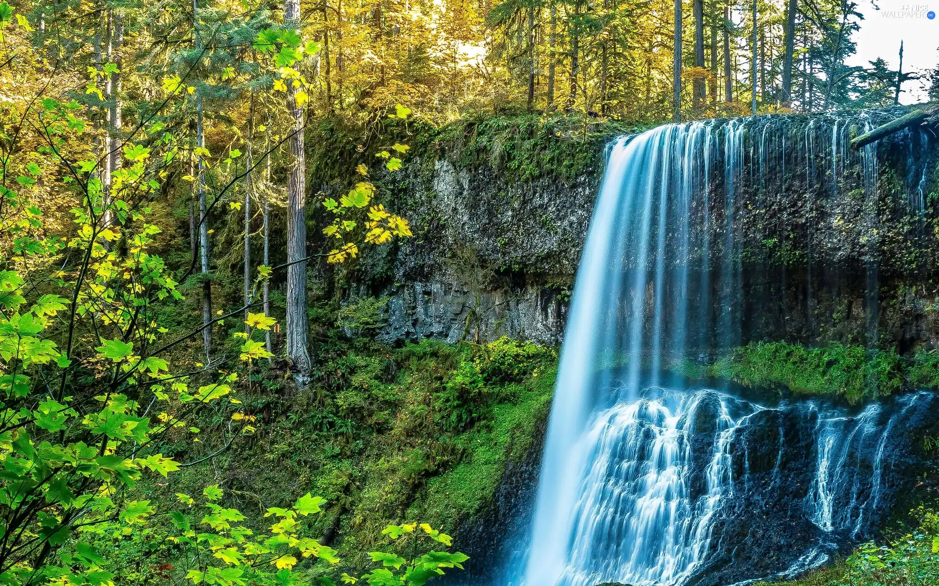 waterfall, rocks, autumn, forest