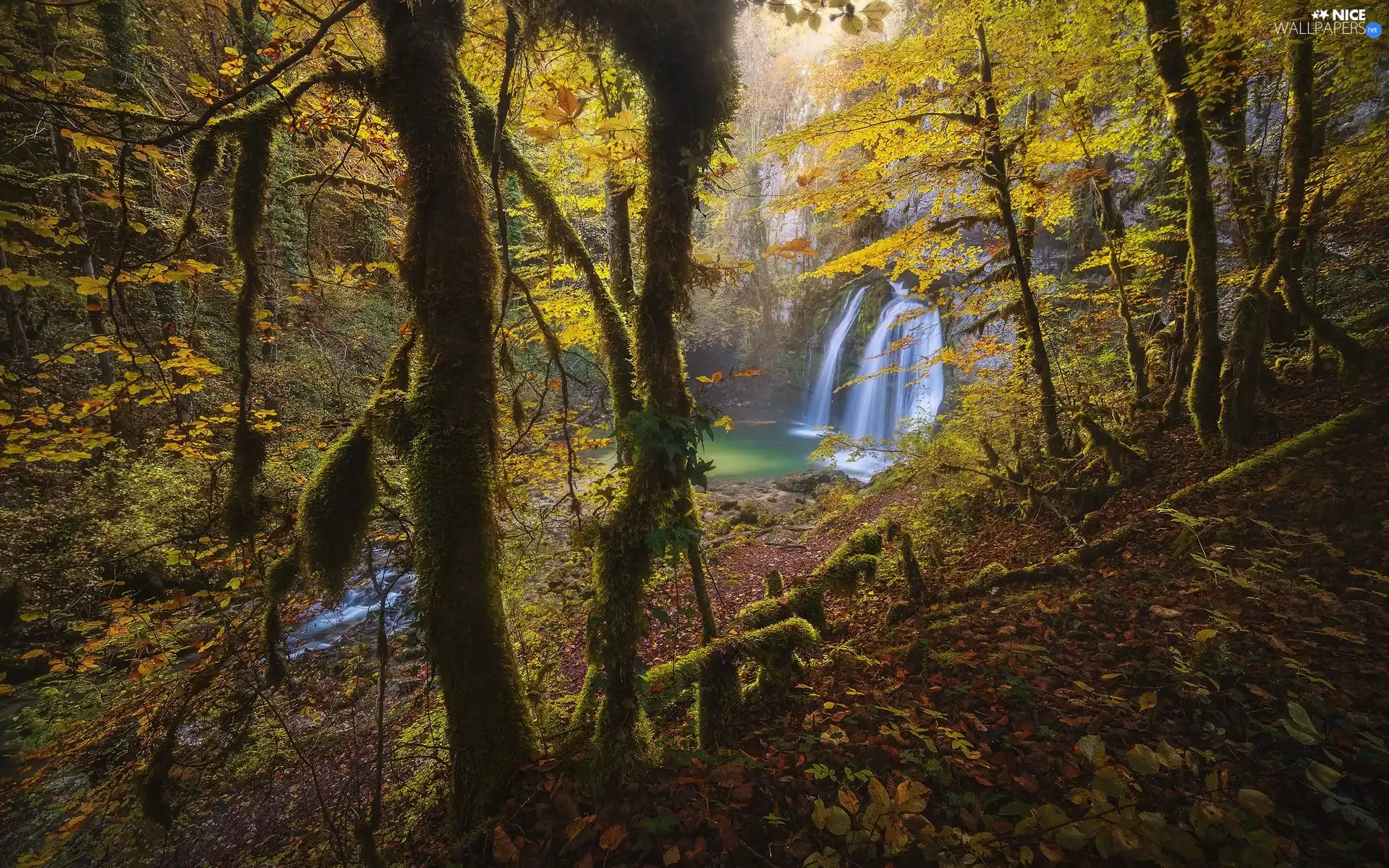 River, forest, viewes, autumn, trees, waterfall
