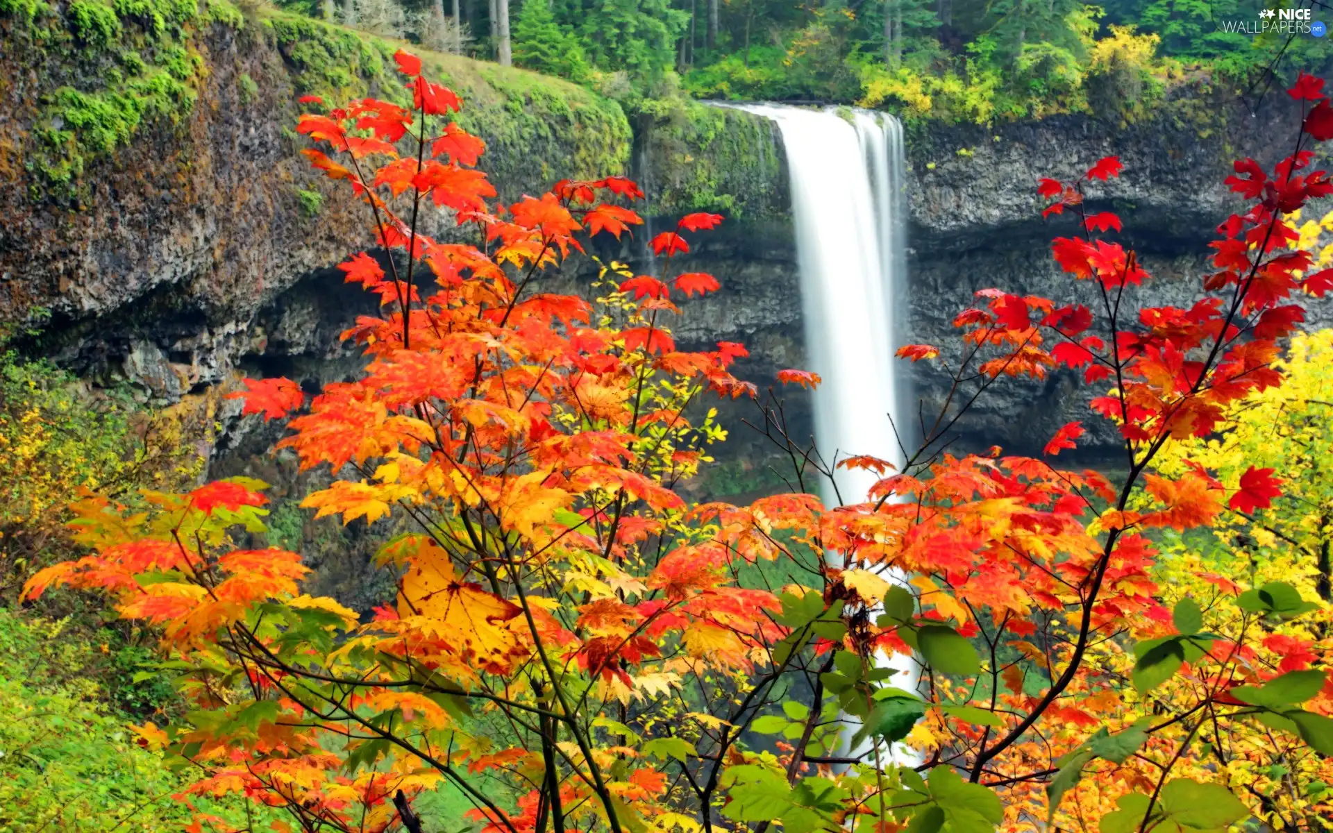 waterfall, viewes, autumn, trees