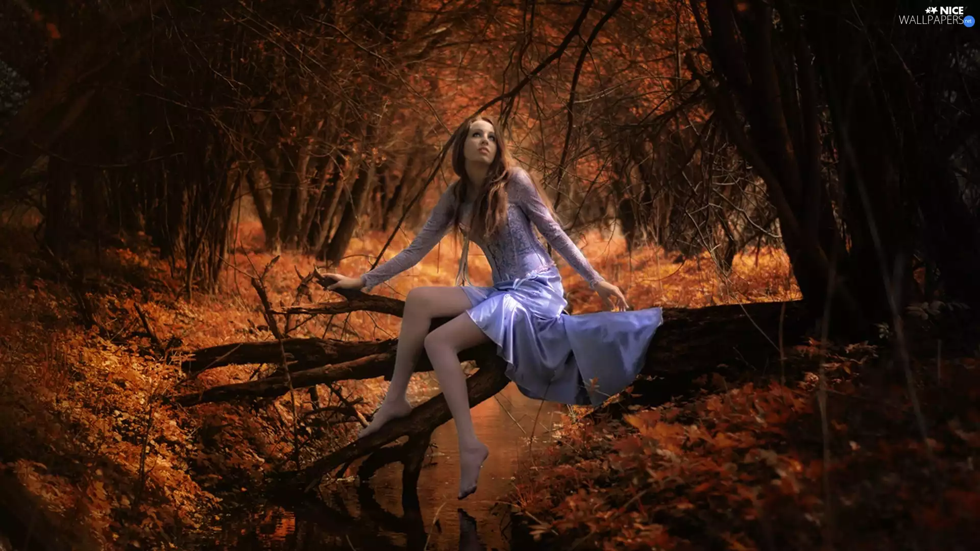 Women, trees, viewes, autumn