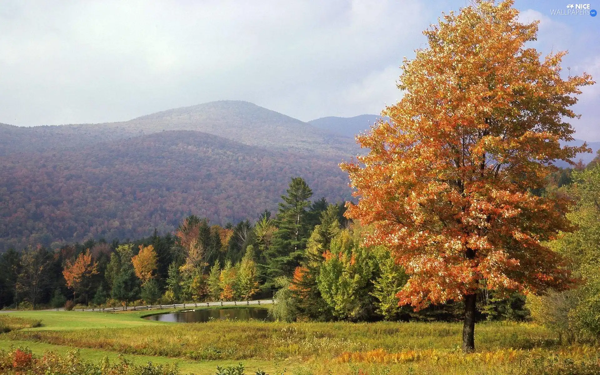 autumn, Mountains, woods