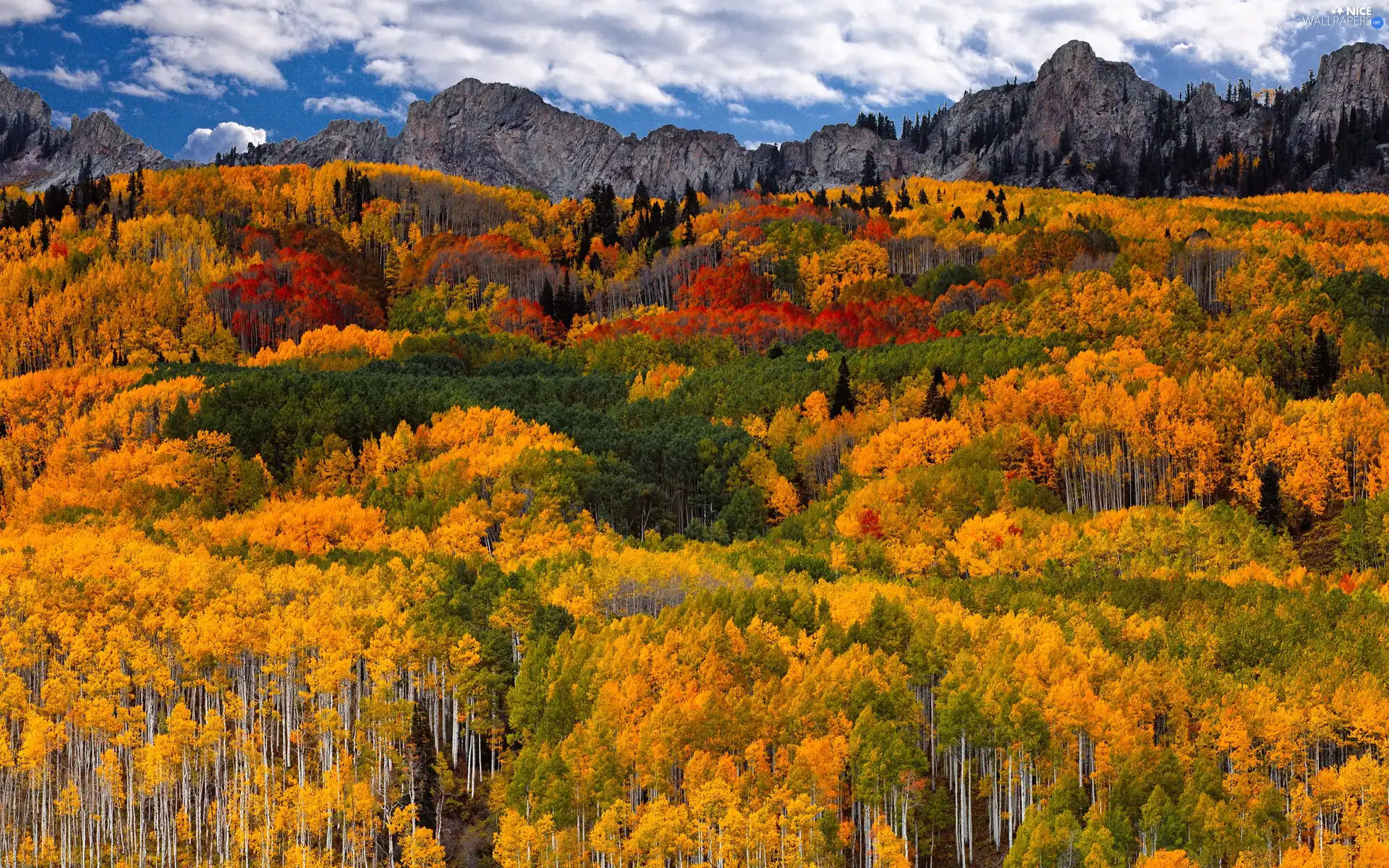 autumn, Mountains, woods