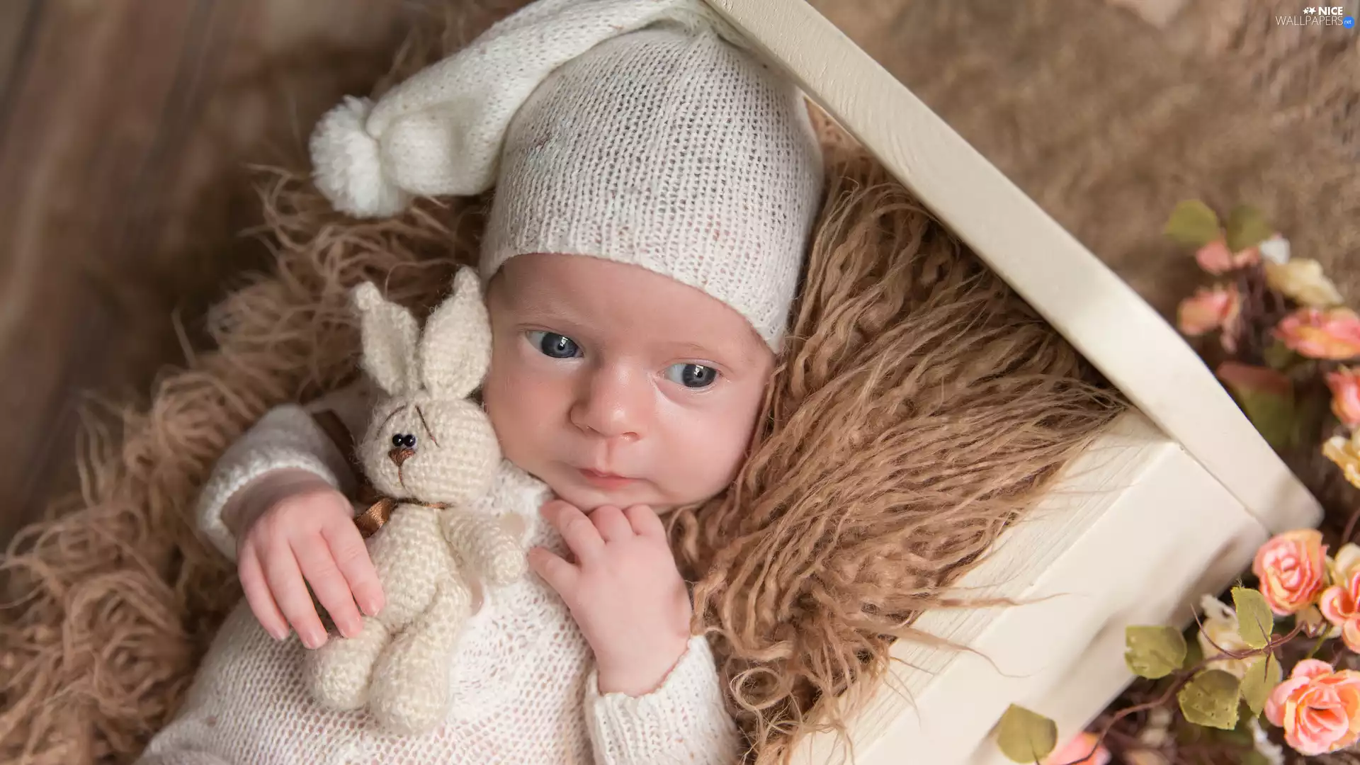 Kid, Bonnet, cuddly, babe