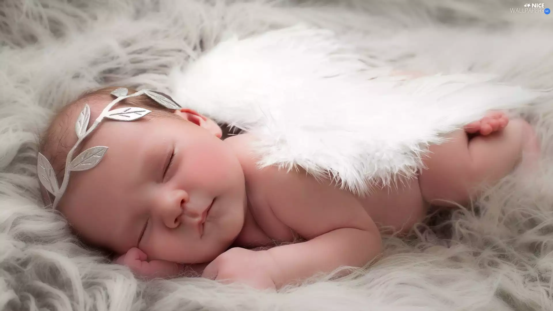 Sleeping, wings, Band, babe