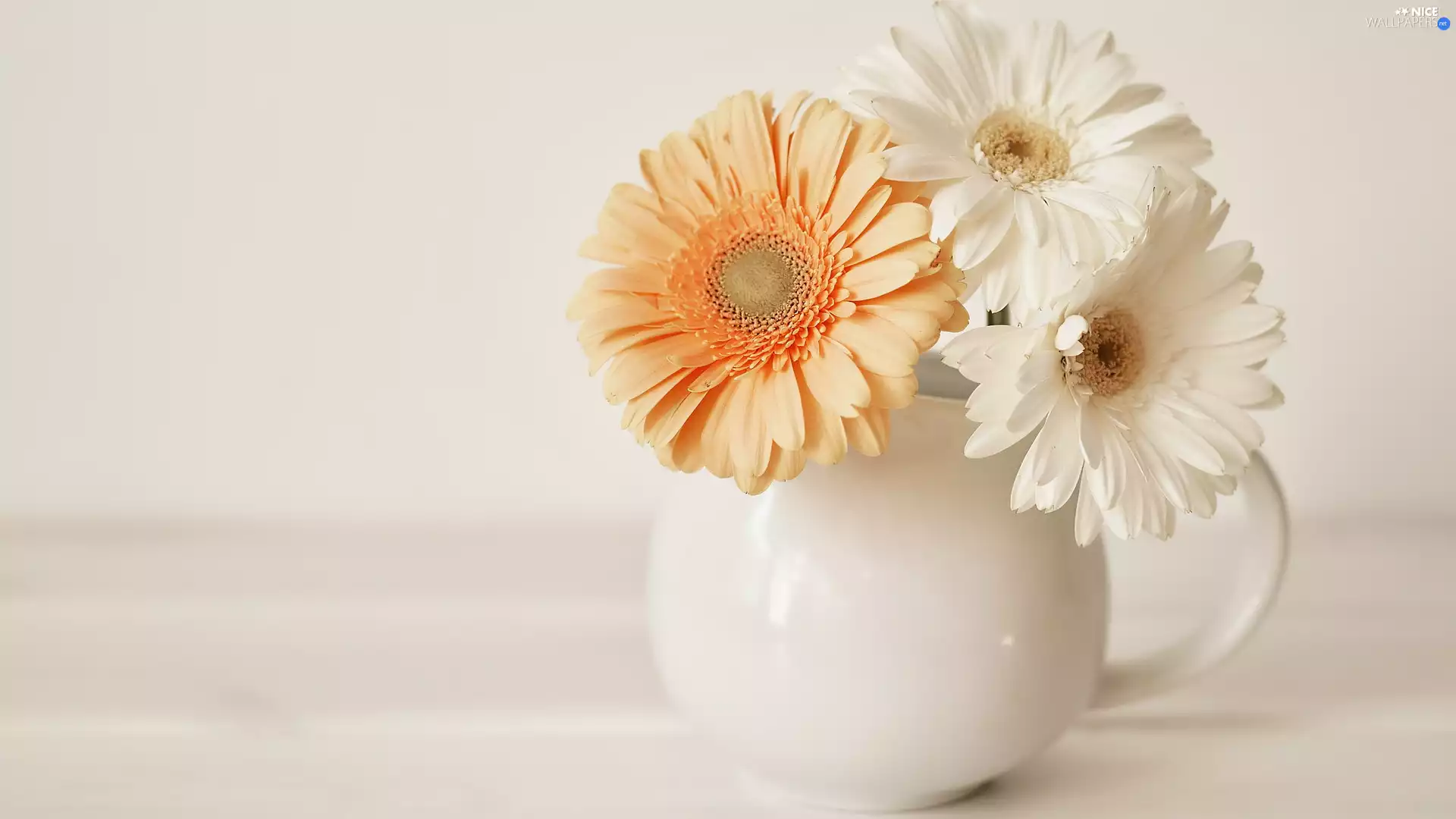 Bright, background, gerberas, jug, Three
