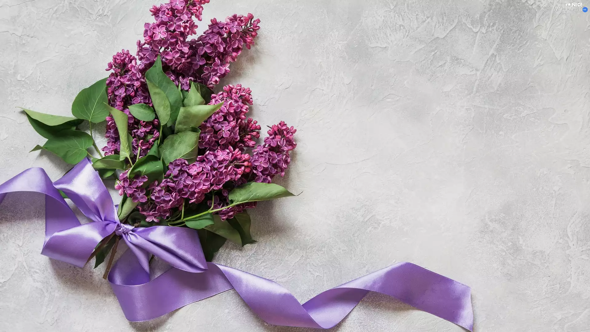 Bright, background, without, ribbon, Twigs